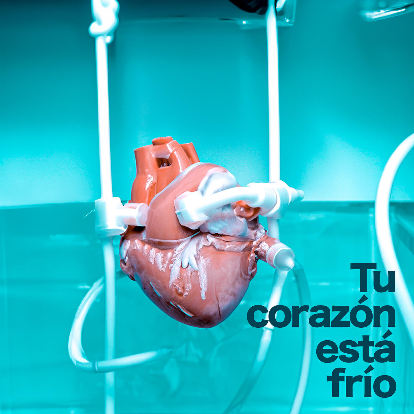 Релиз Tu Corazón Está Frío