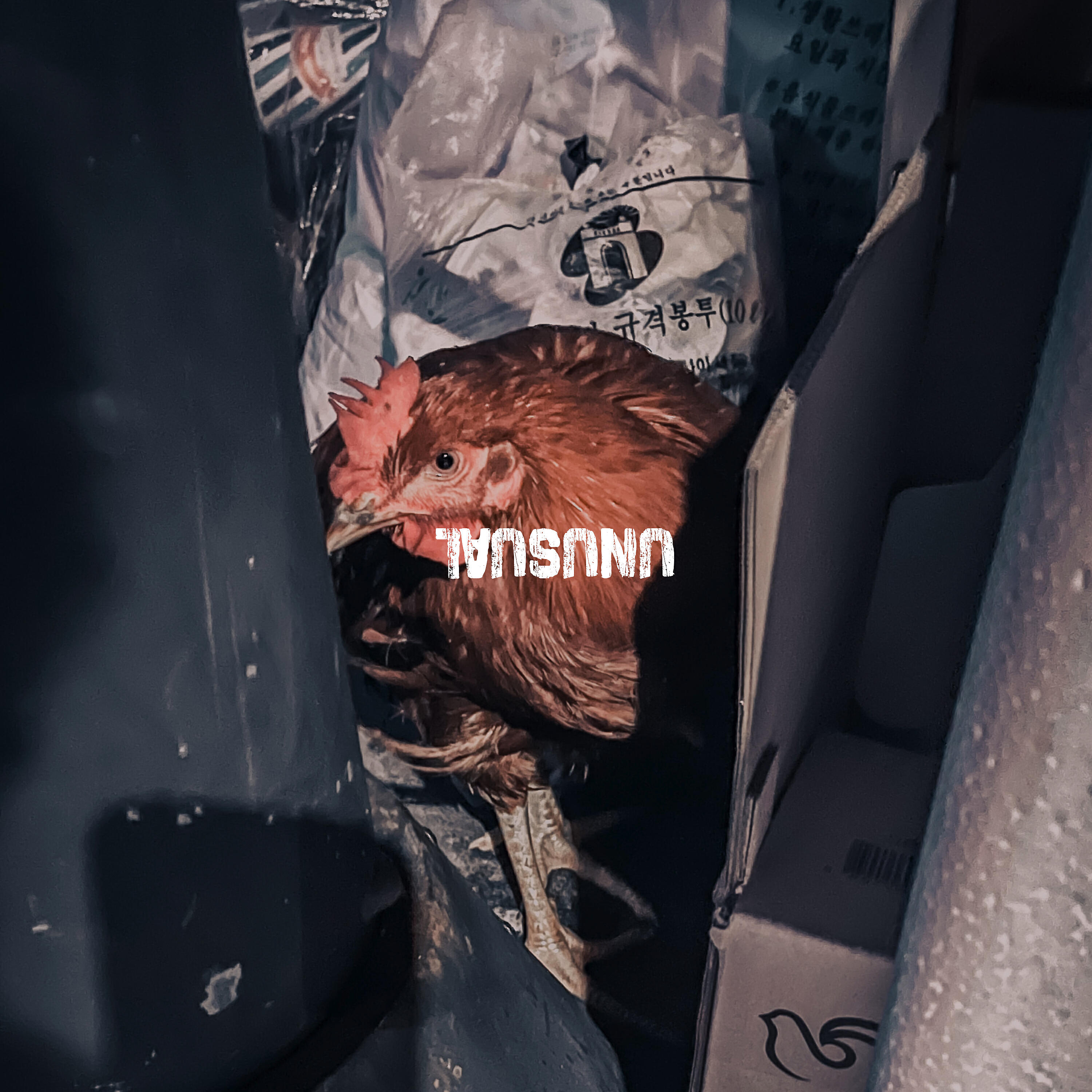 Релиз Unusual