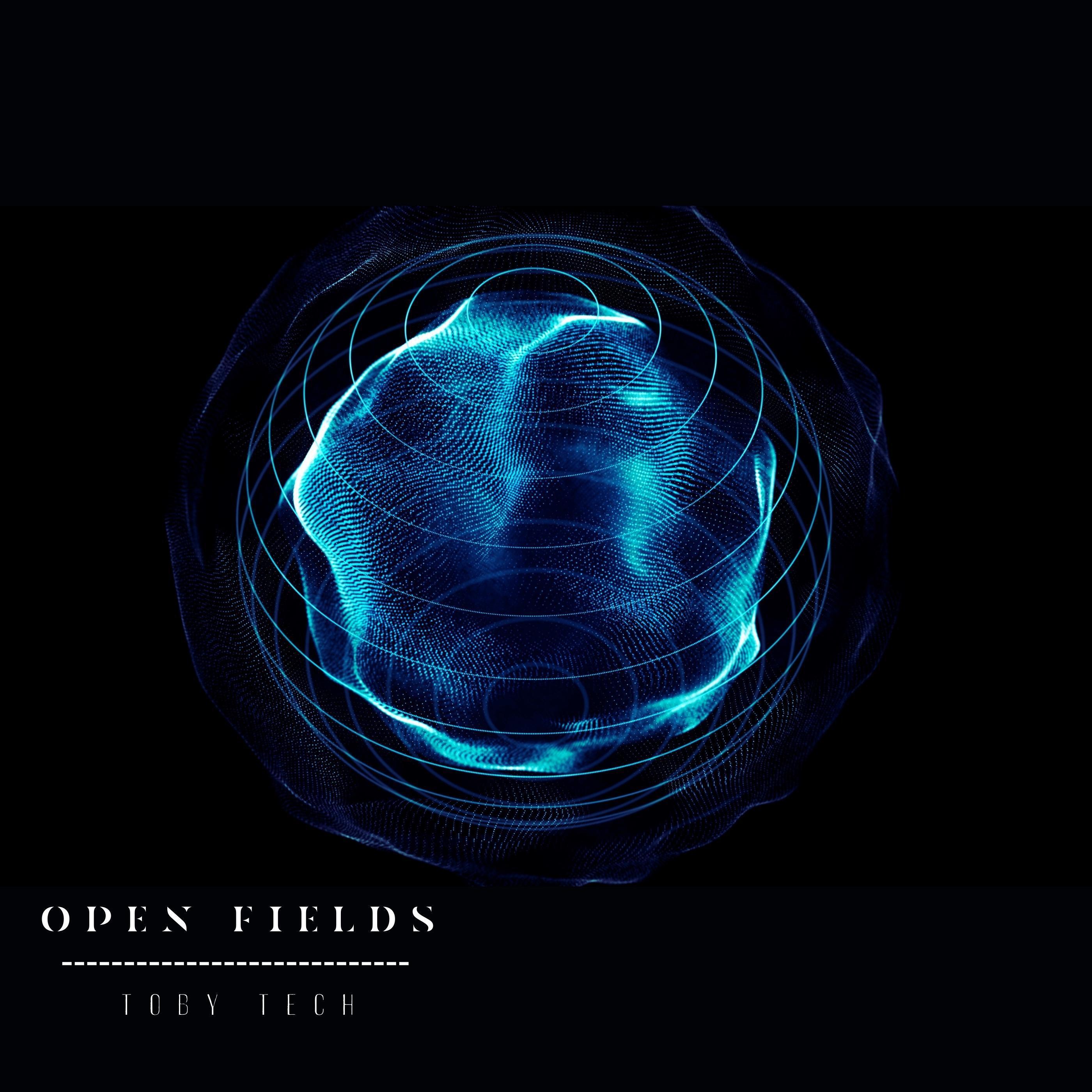 Релиз Open Fields