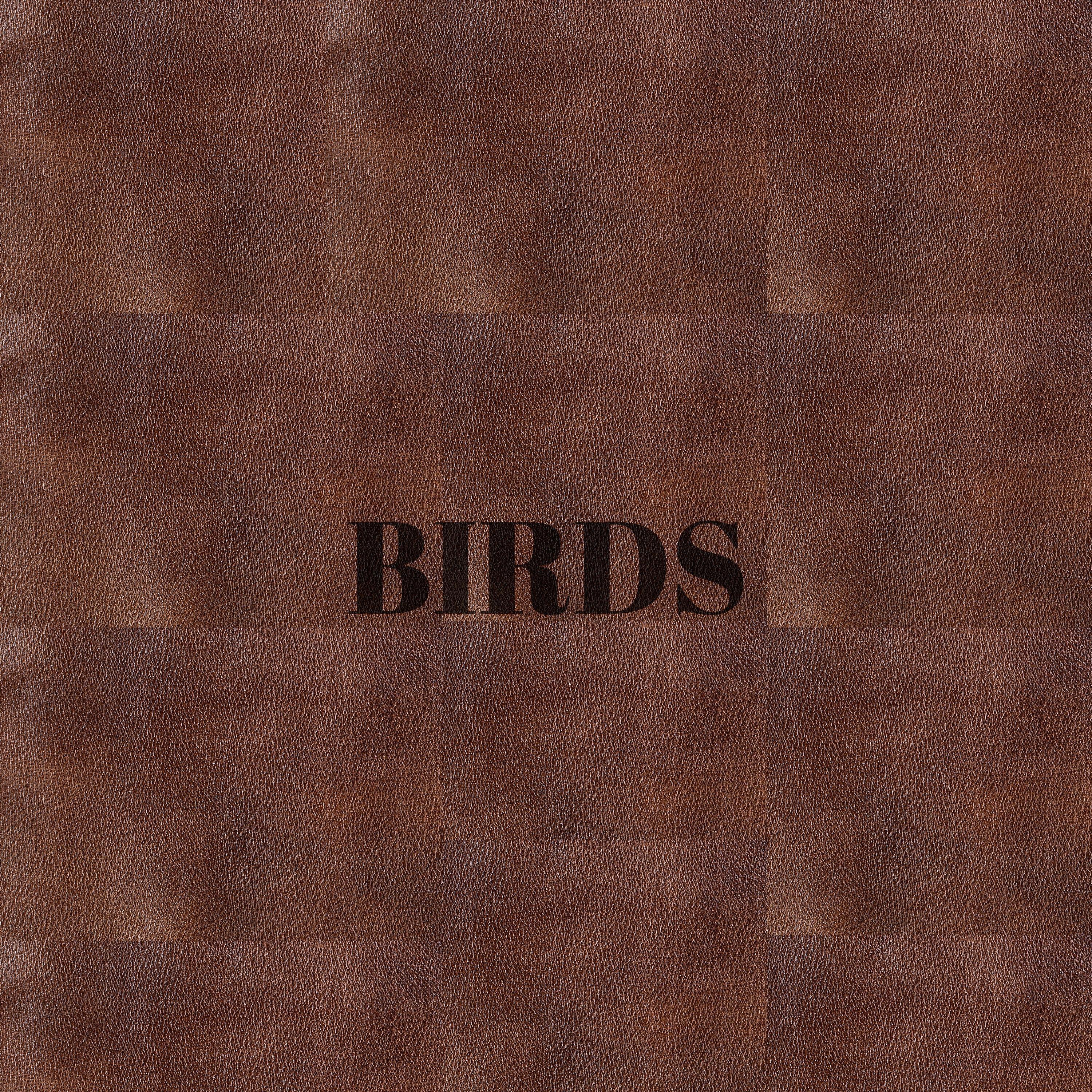 Релиз Birds
