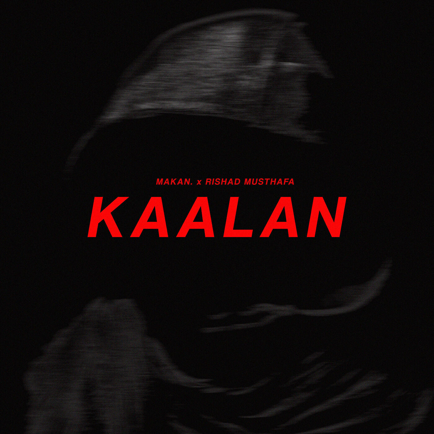 Постер альбома Kaalan