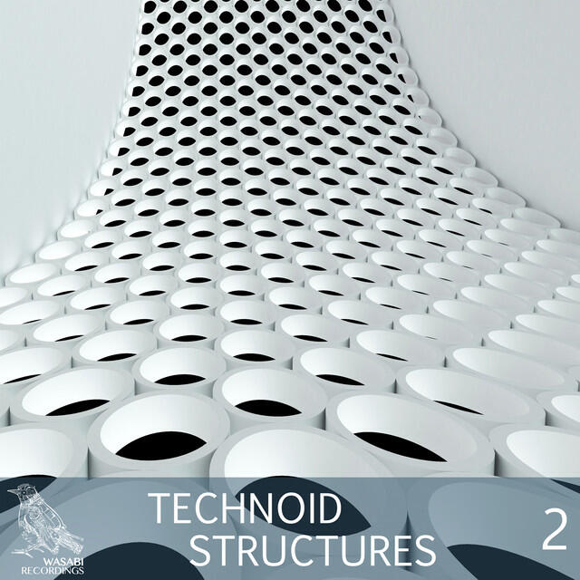 Релиз Technoid Structures, Vol. 2