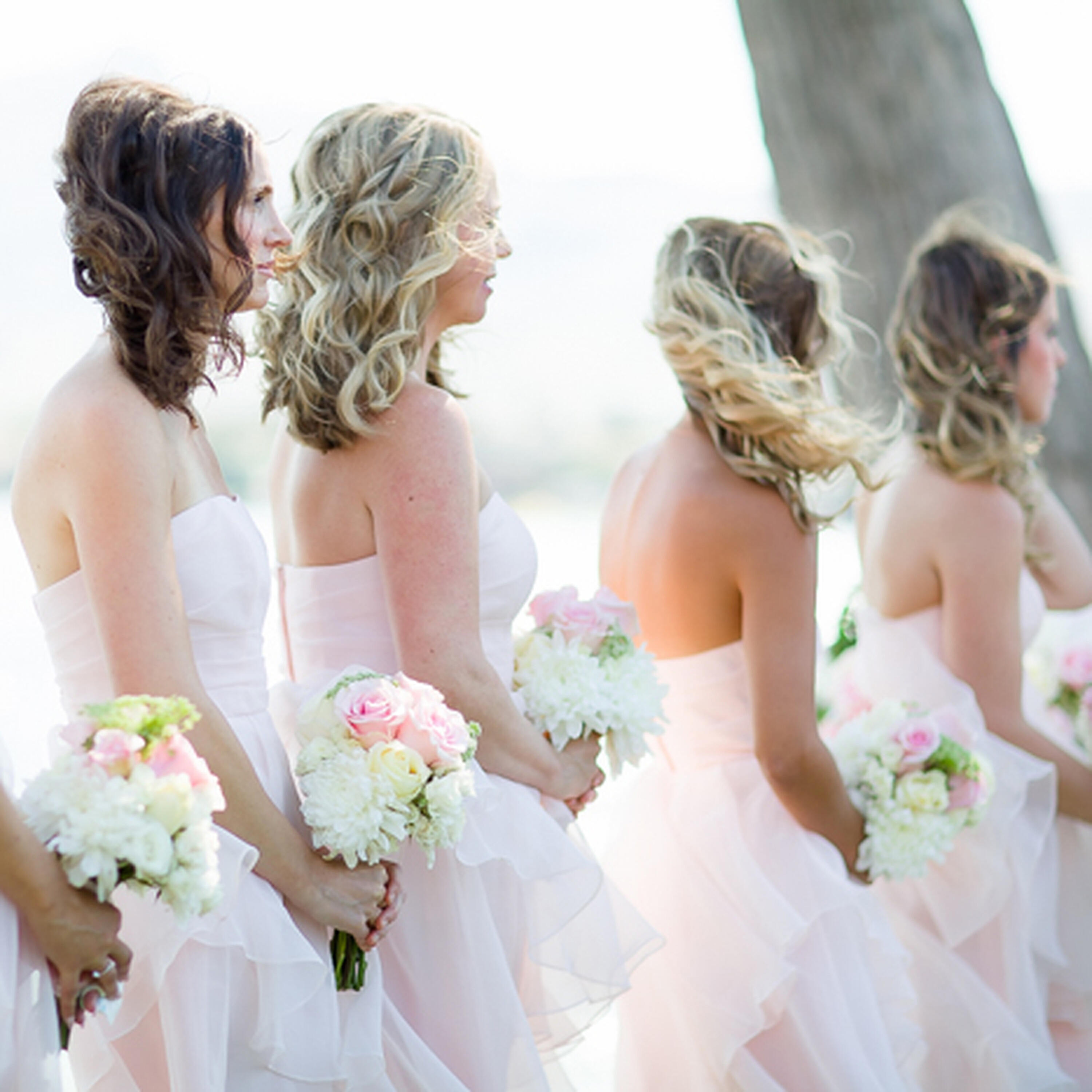 Релиз The Bridesmaid's Entrance
