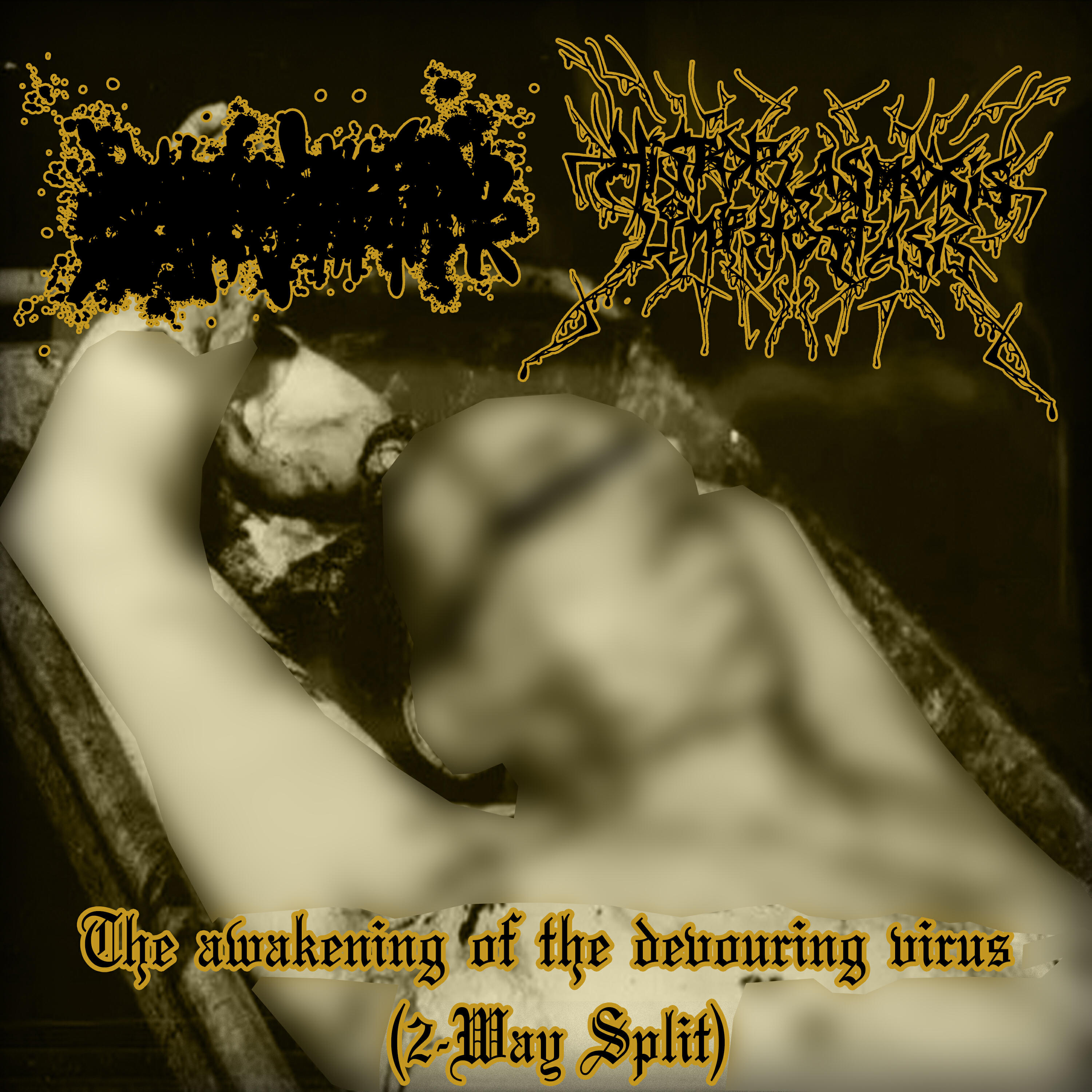 Релиз The awakening of the devouring virus (2-Way Split)