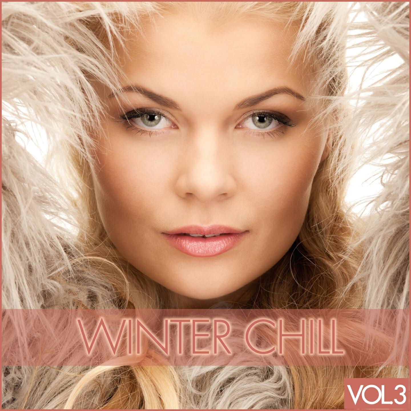 Релиз Winter Chill, Vol. 3