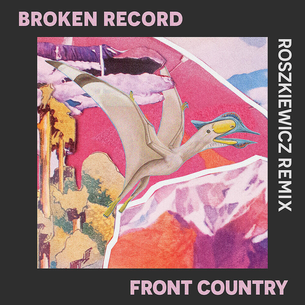 Трек Broken Record (ROSZKIEWICZ Remix)