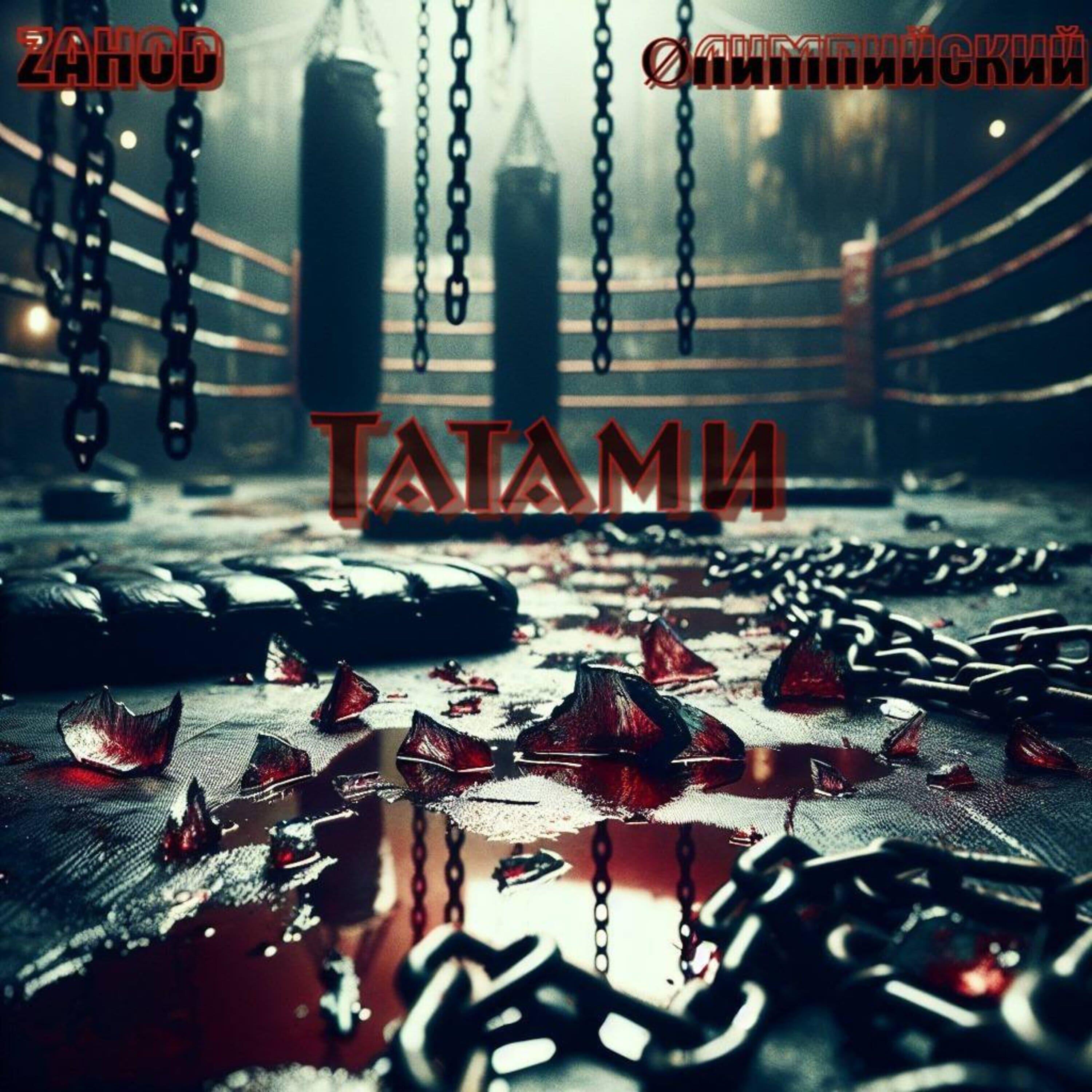 Релиз Татами