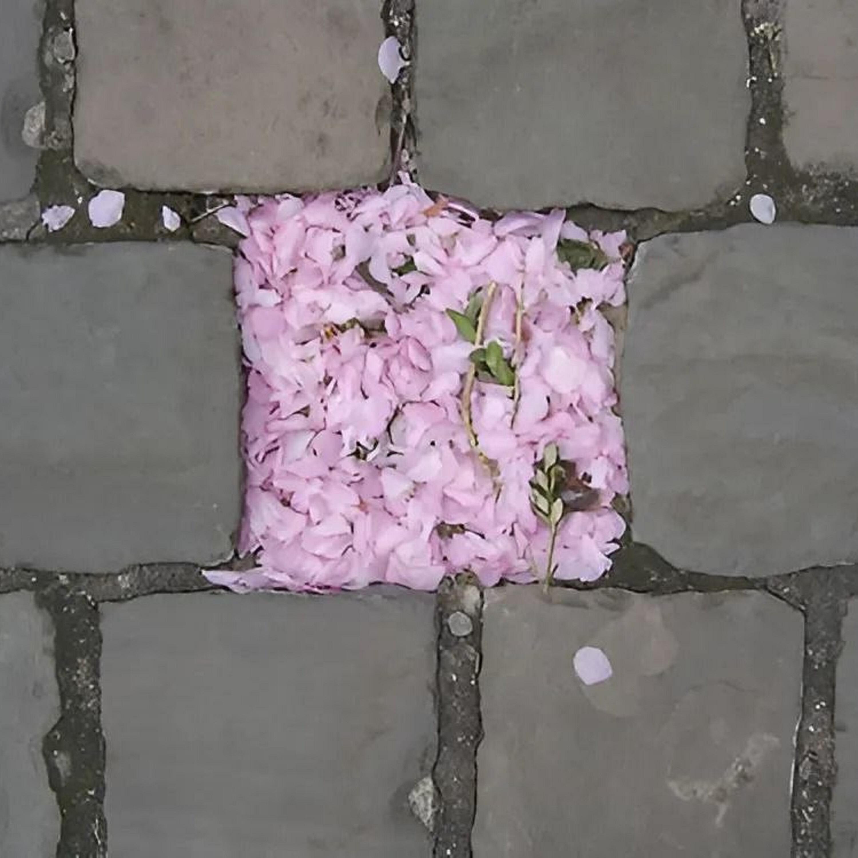 Постер альбома Street Flowers