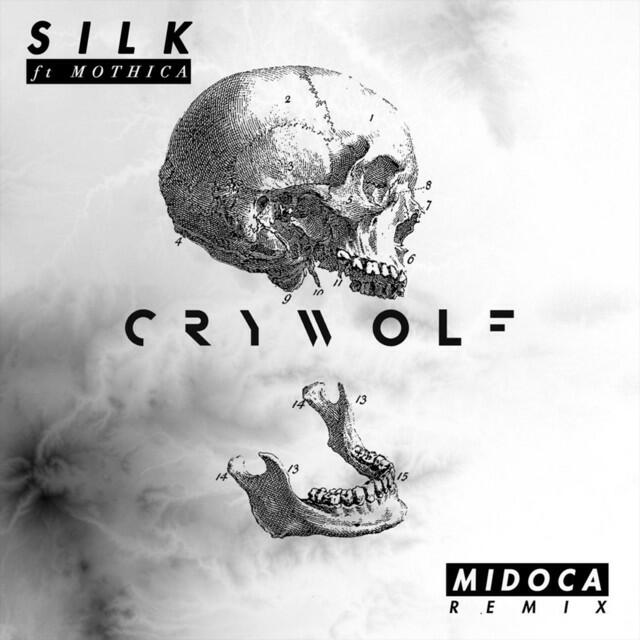 Релиз Silk (Midoca Remix)