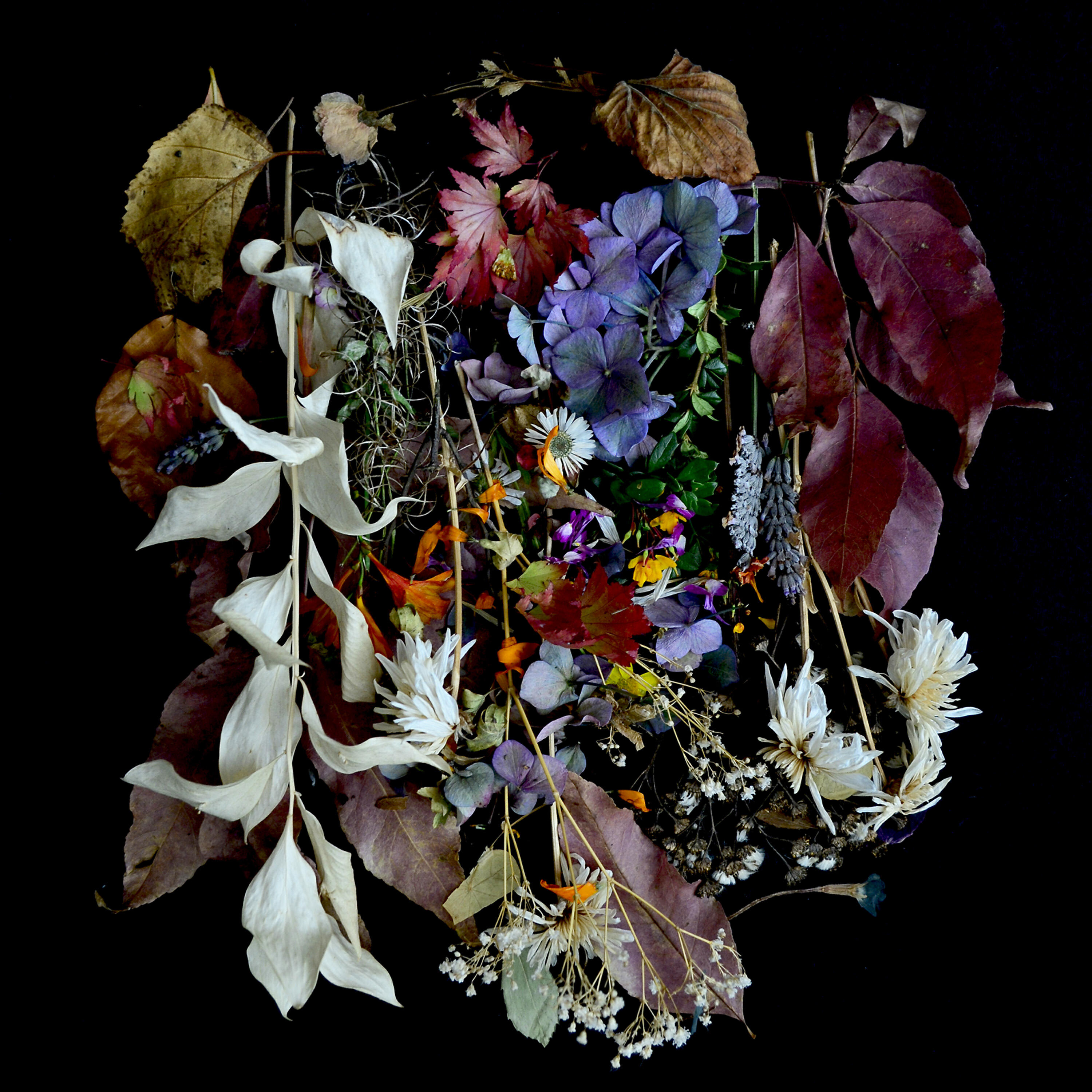 Релиз Your Church on My Bonfire