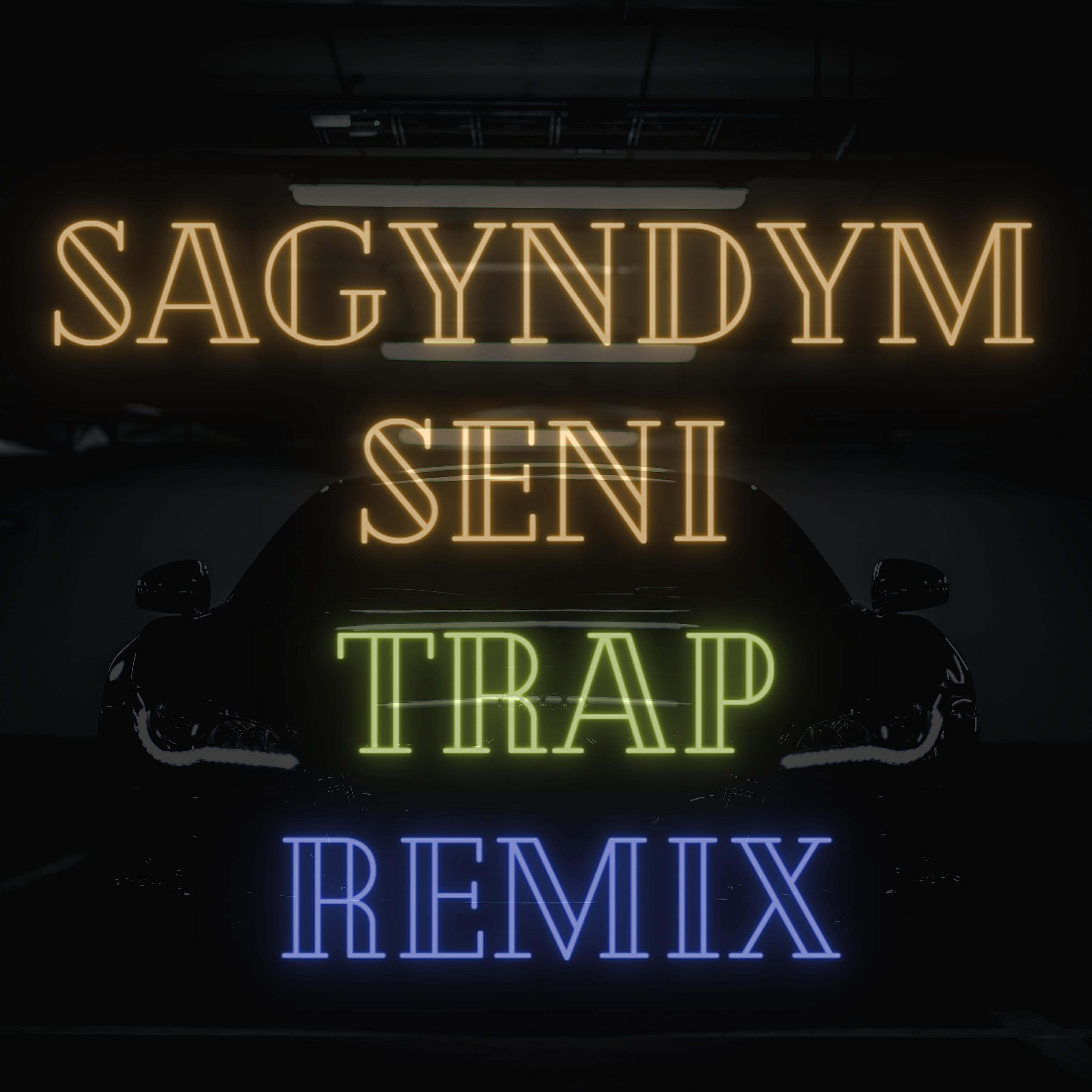 Релиз Sagyndym Seni (Trap Remix)