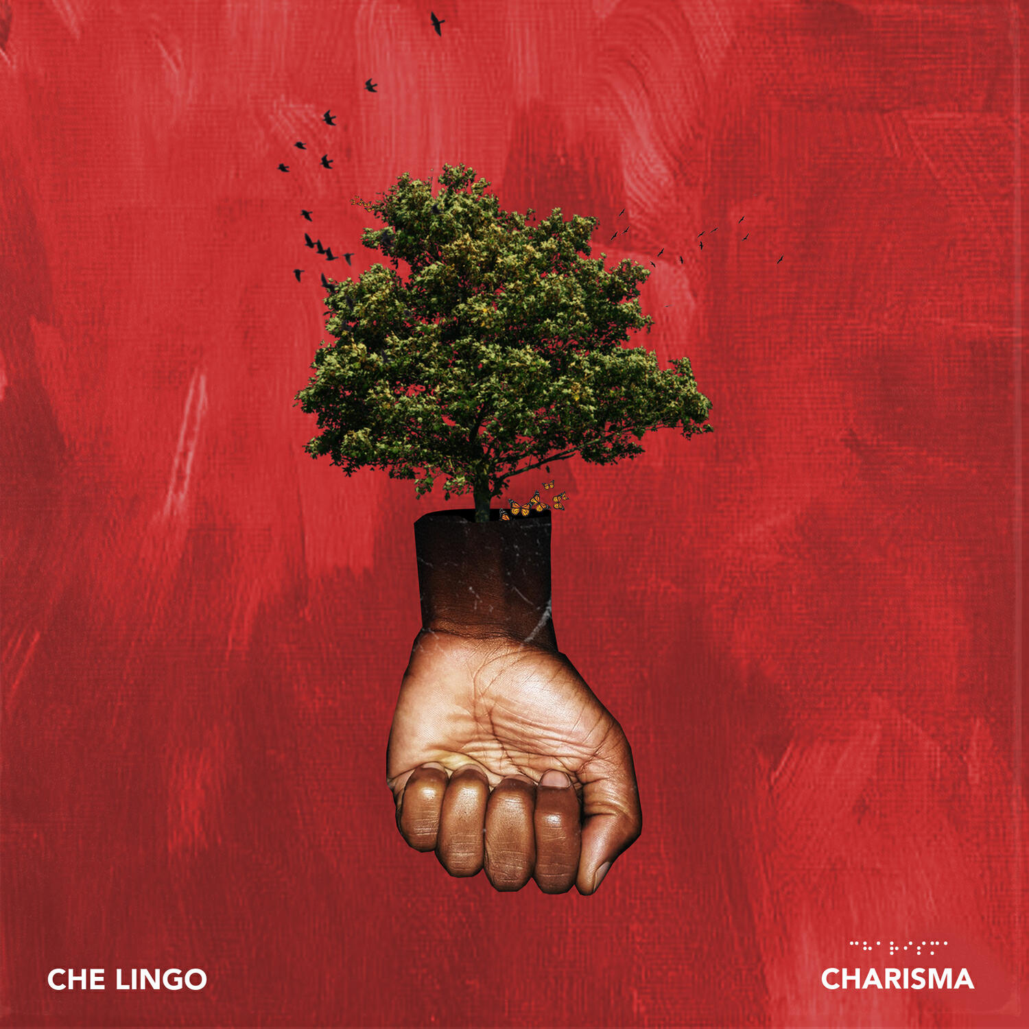 Релиз Charisma