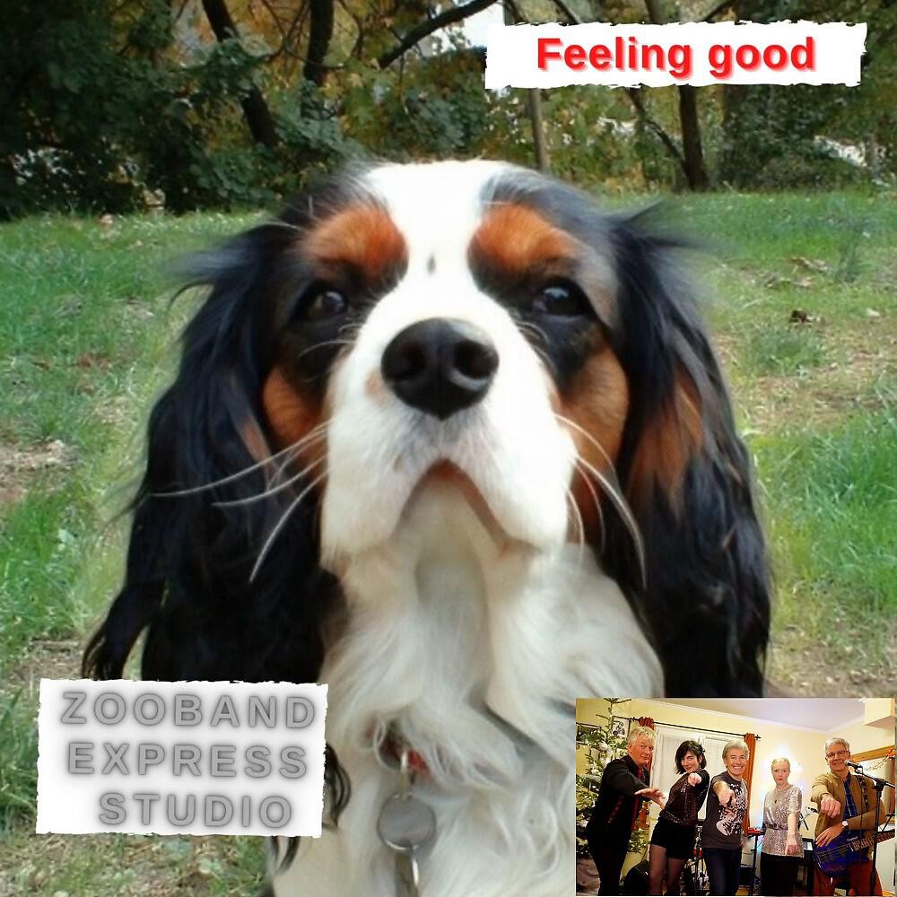 Постер альбома Feeling Good