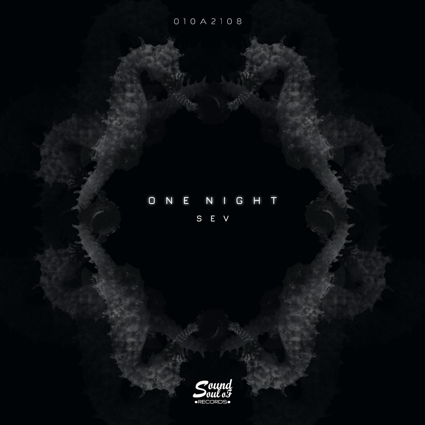 Релиз One Night
