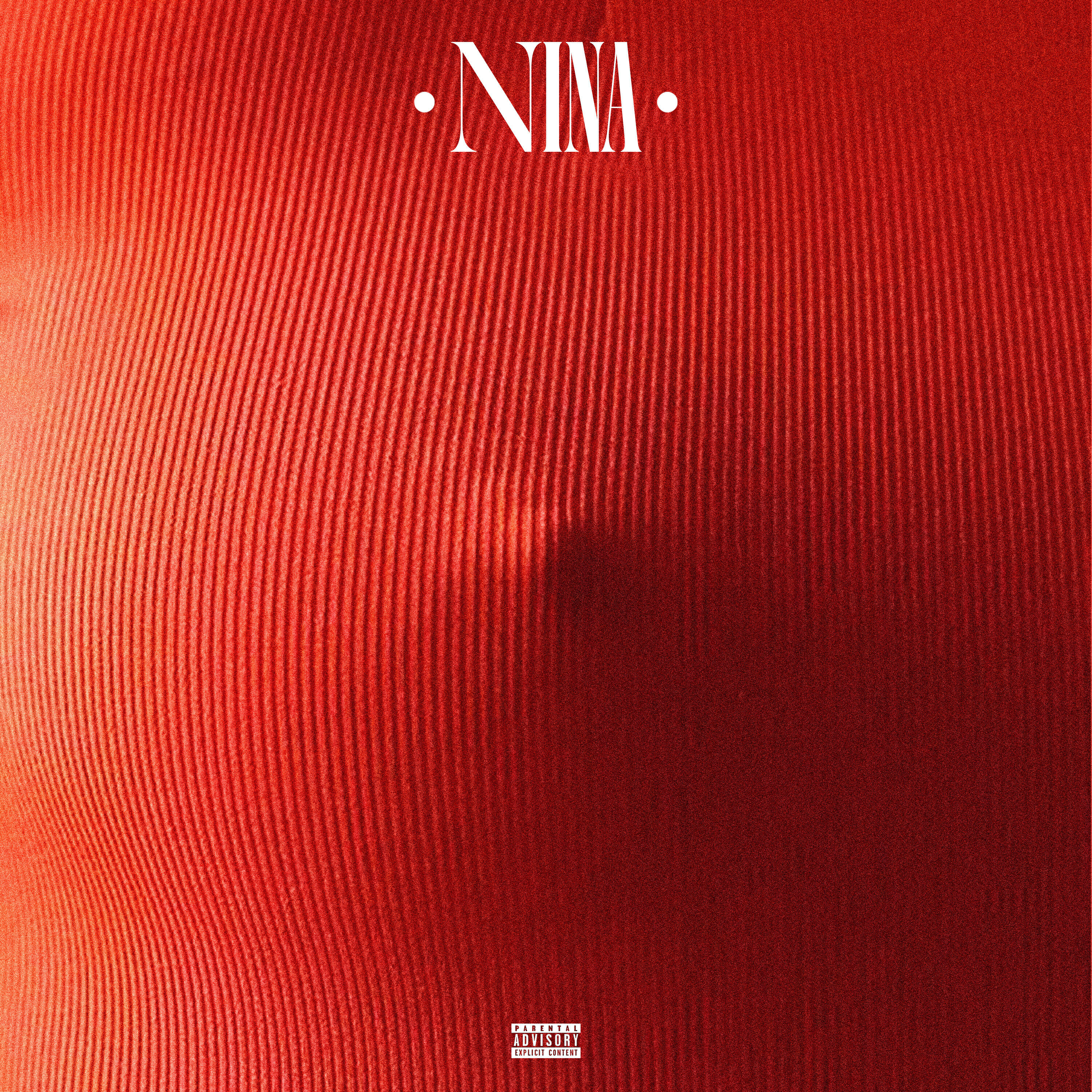 Релиз NINA
