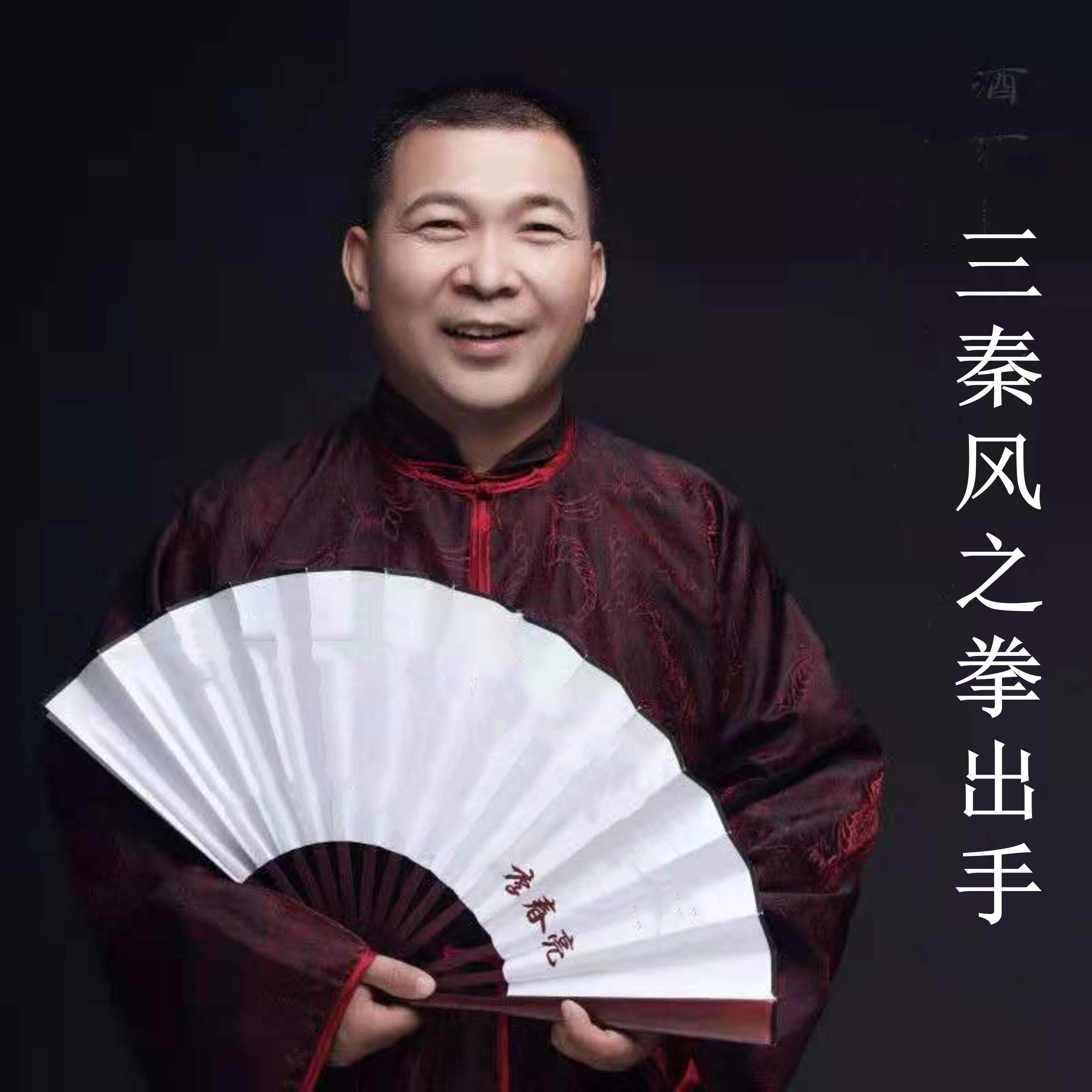 Релиз 三秦风之拳出手