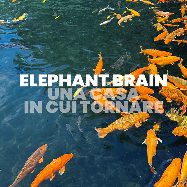 Релиз Una casa in cui tornare