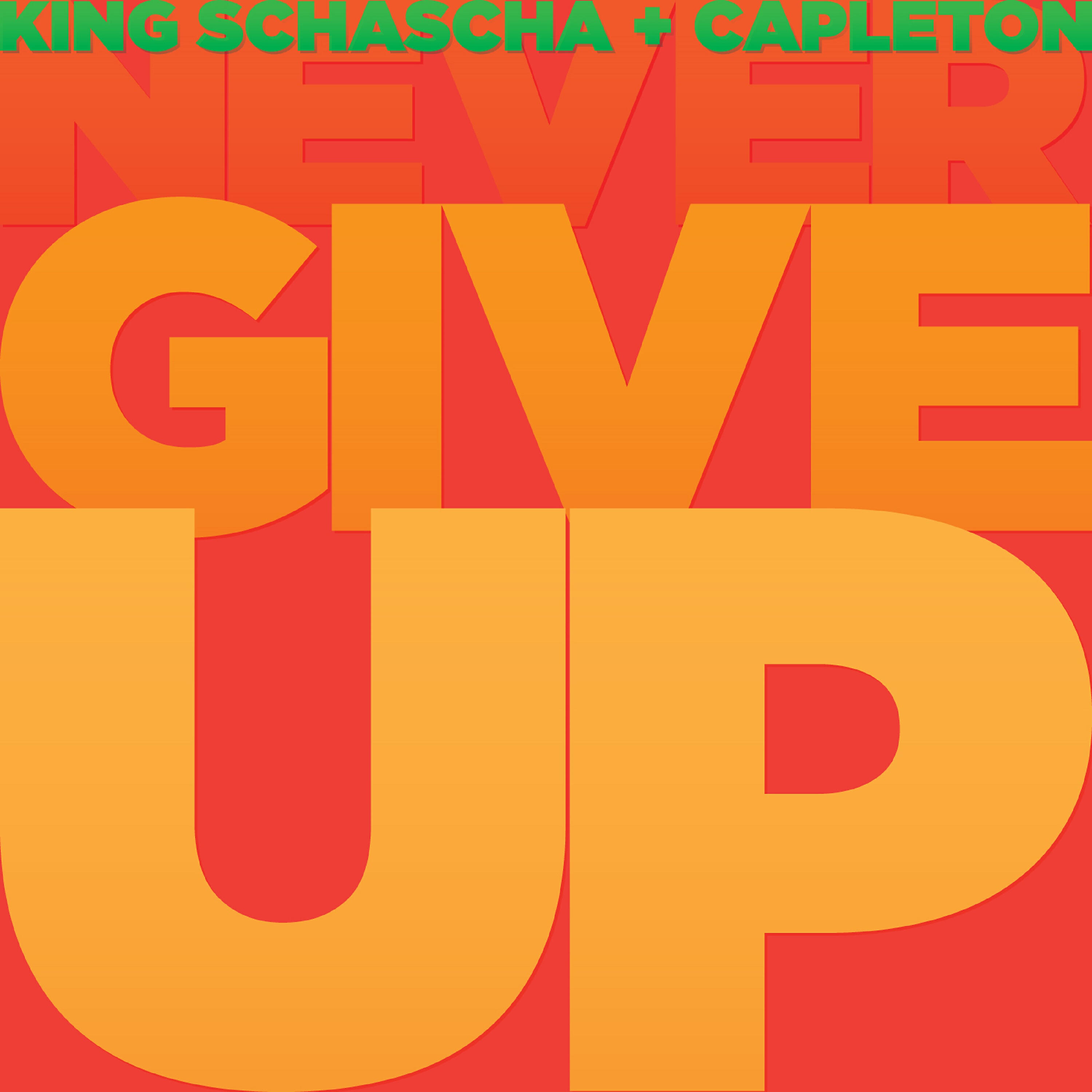 Релиз Never Give Up