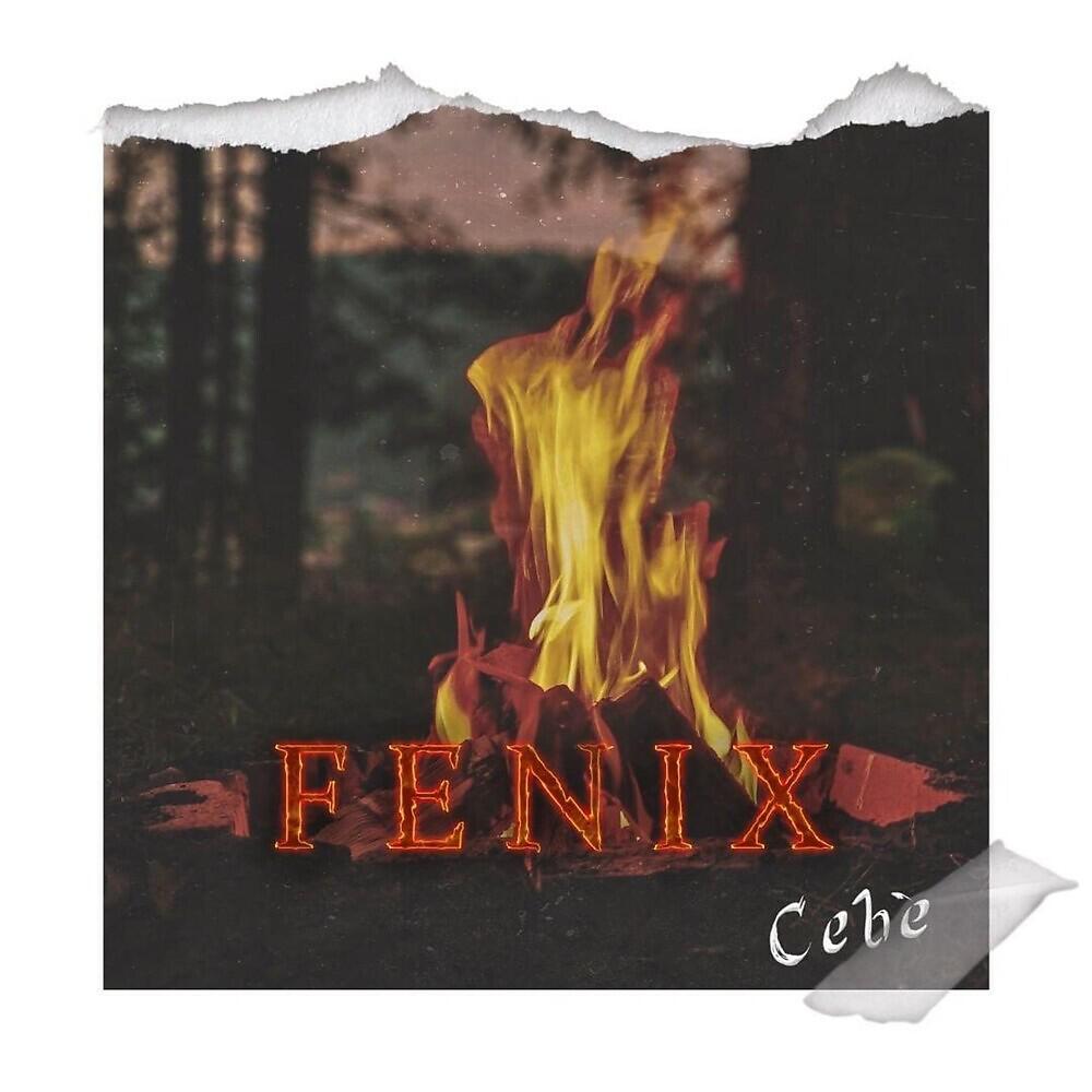 Релиз Fenix