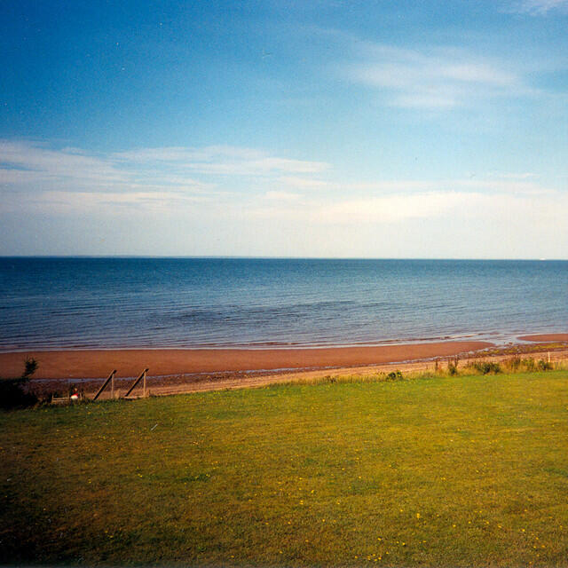 Релиз Lion in Chains