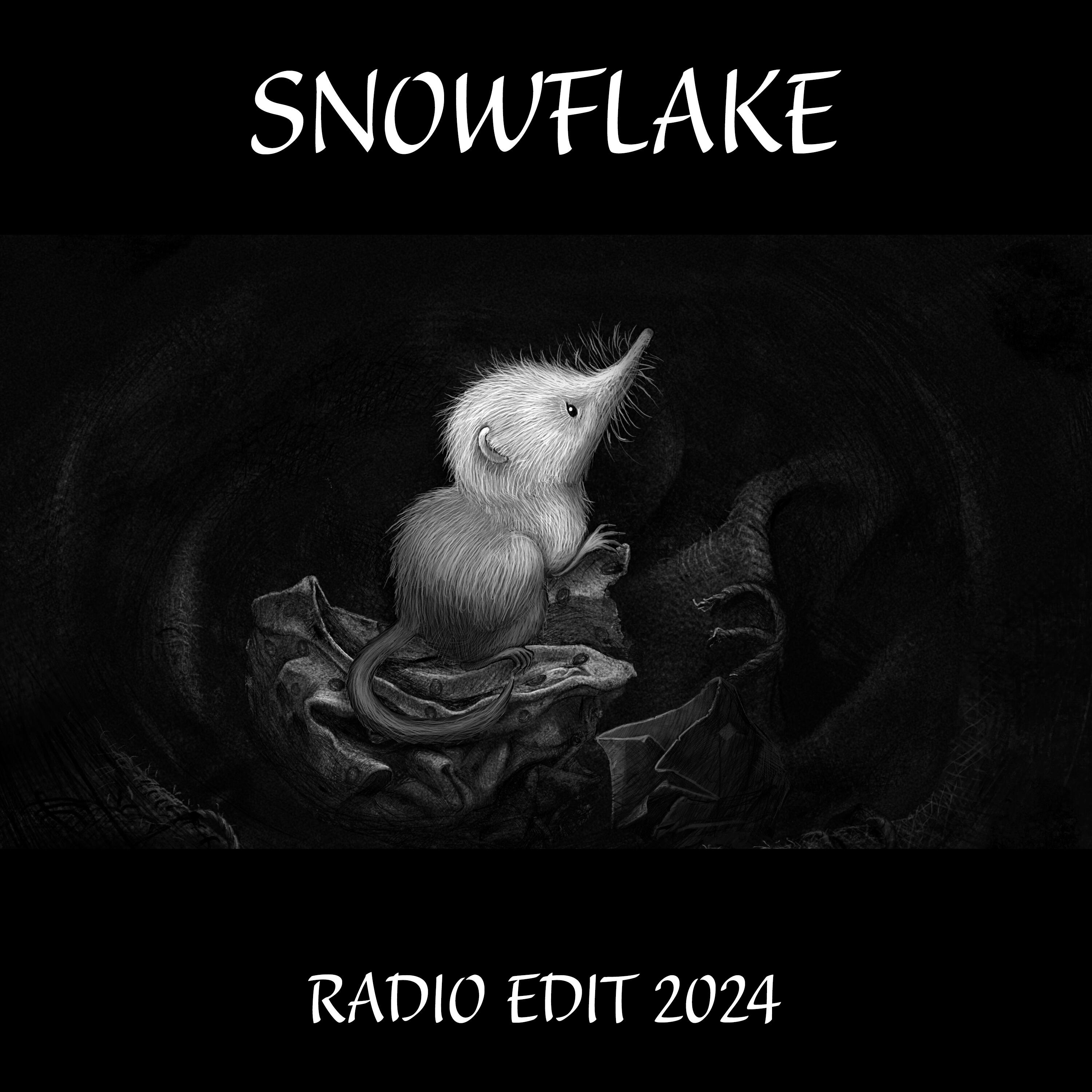 Релиз Snowflake (Radio Edit 2024)