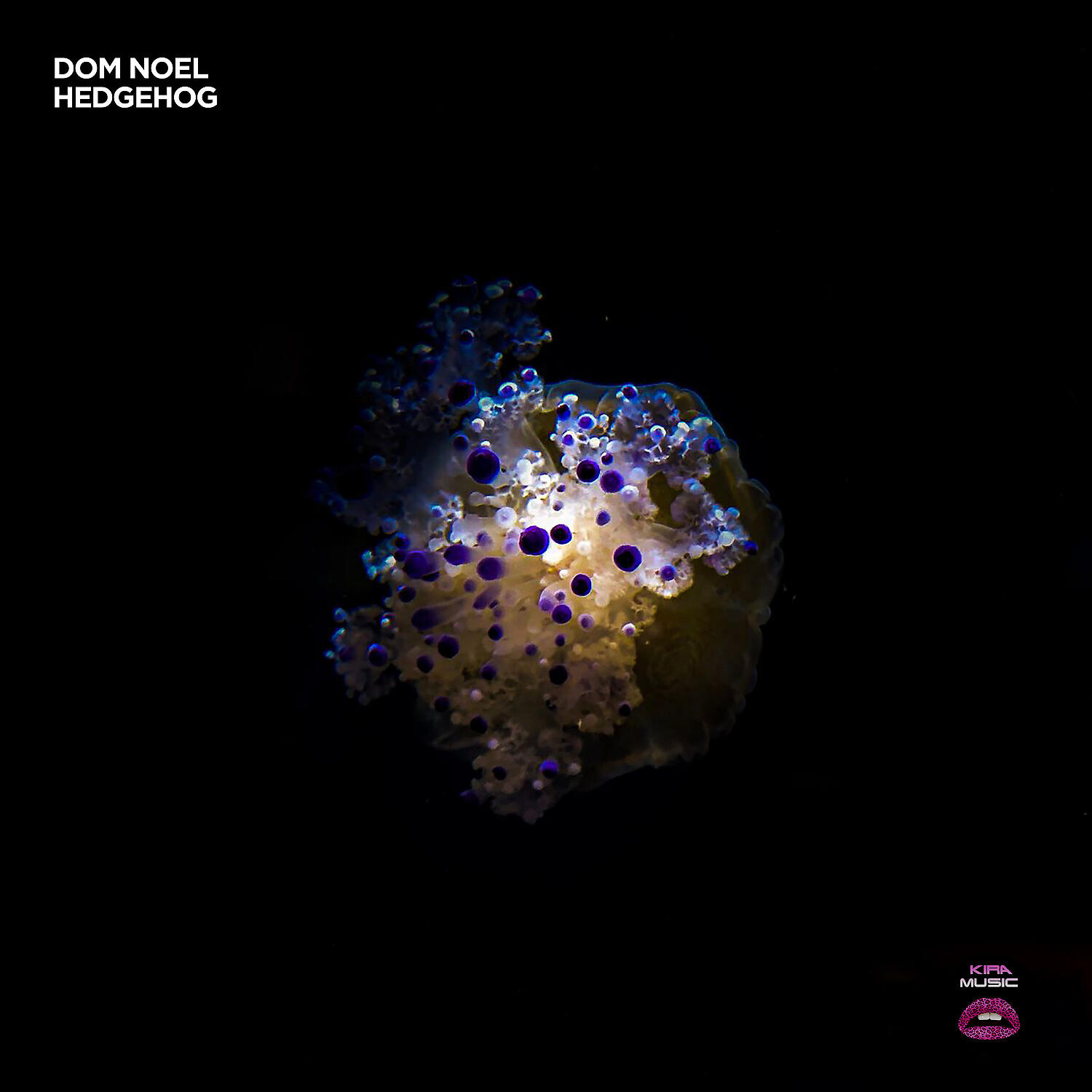 Dom Noel