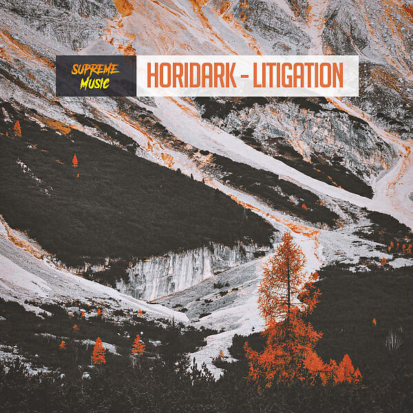 Релиз Litigation