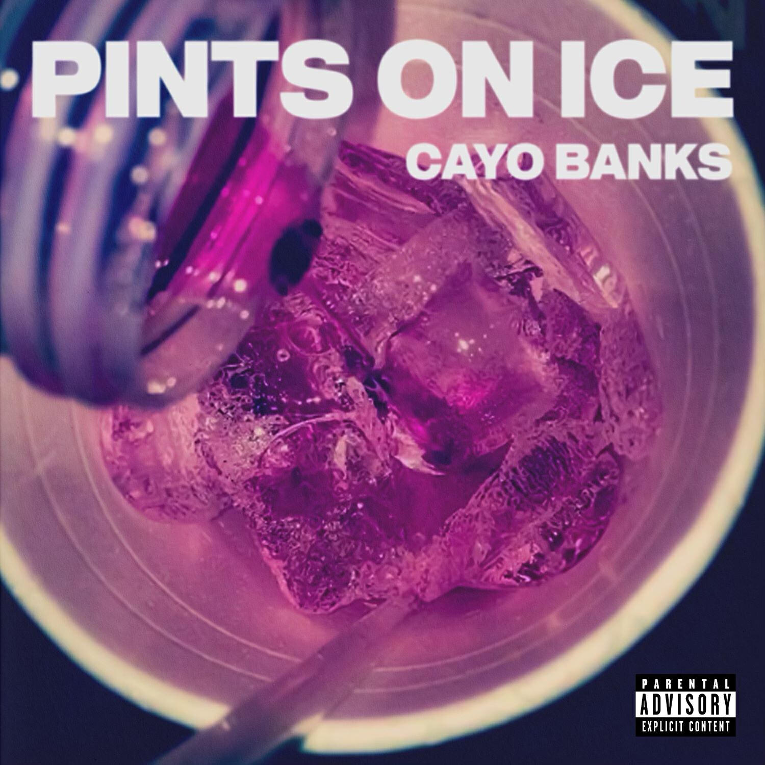 Релиз Pints On Ice