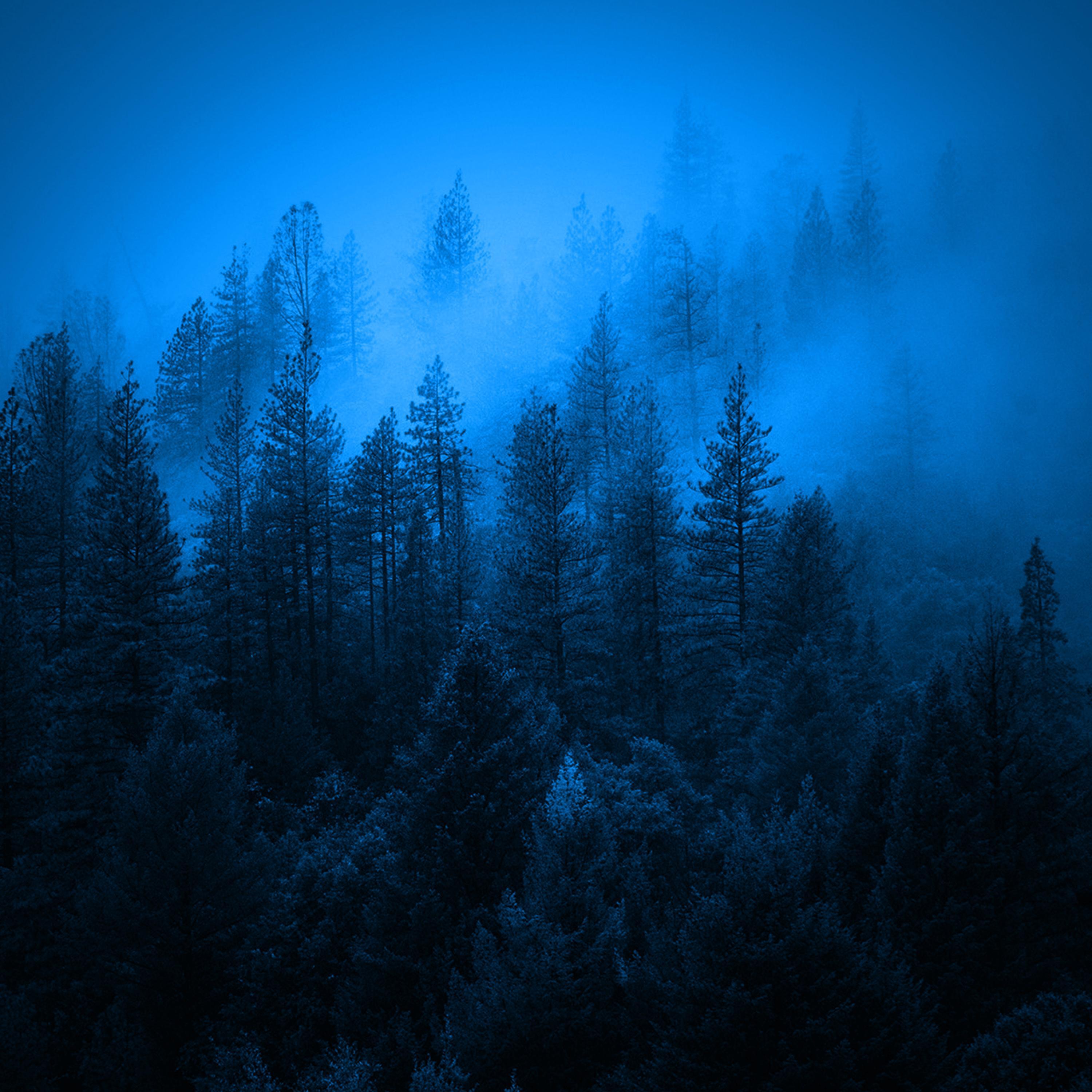 Релиз as soft as a tear of melancholy