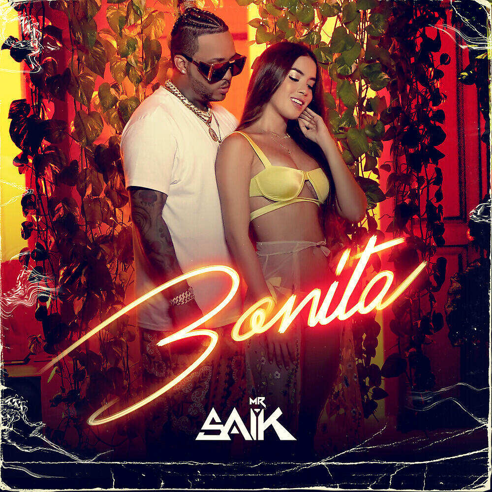 Скачать песню Mr. Saik - Bonita бесплатно в MP3 для Android и iOS