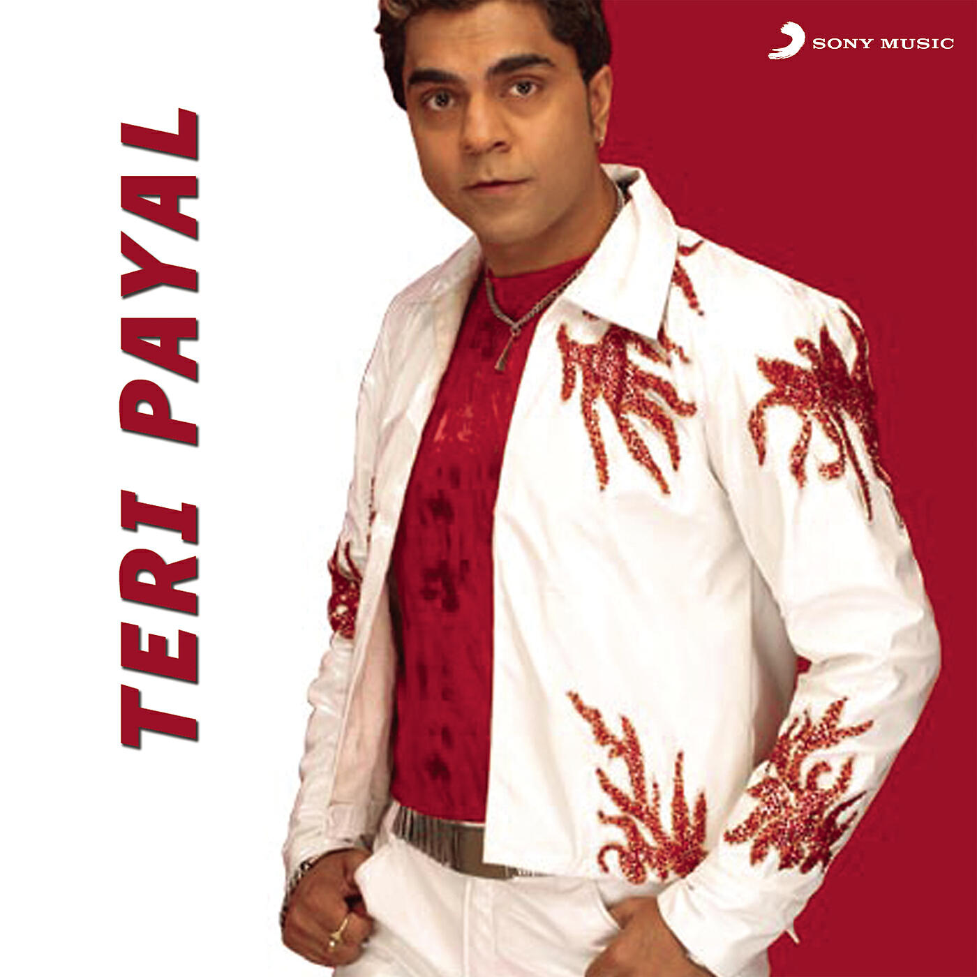 Релиз Teri Payal