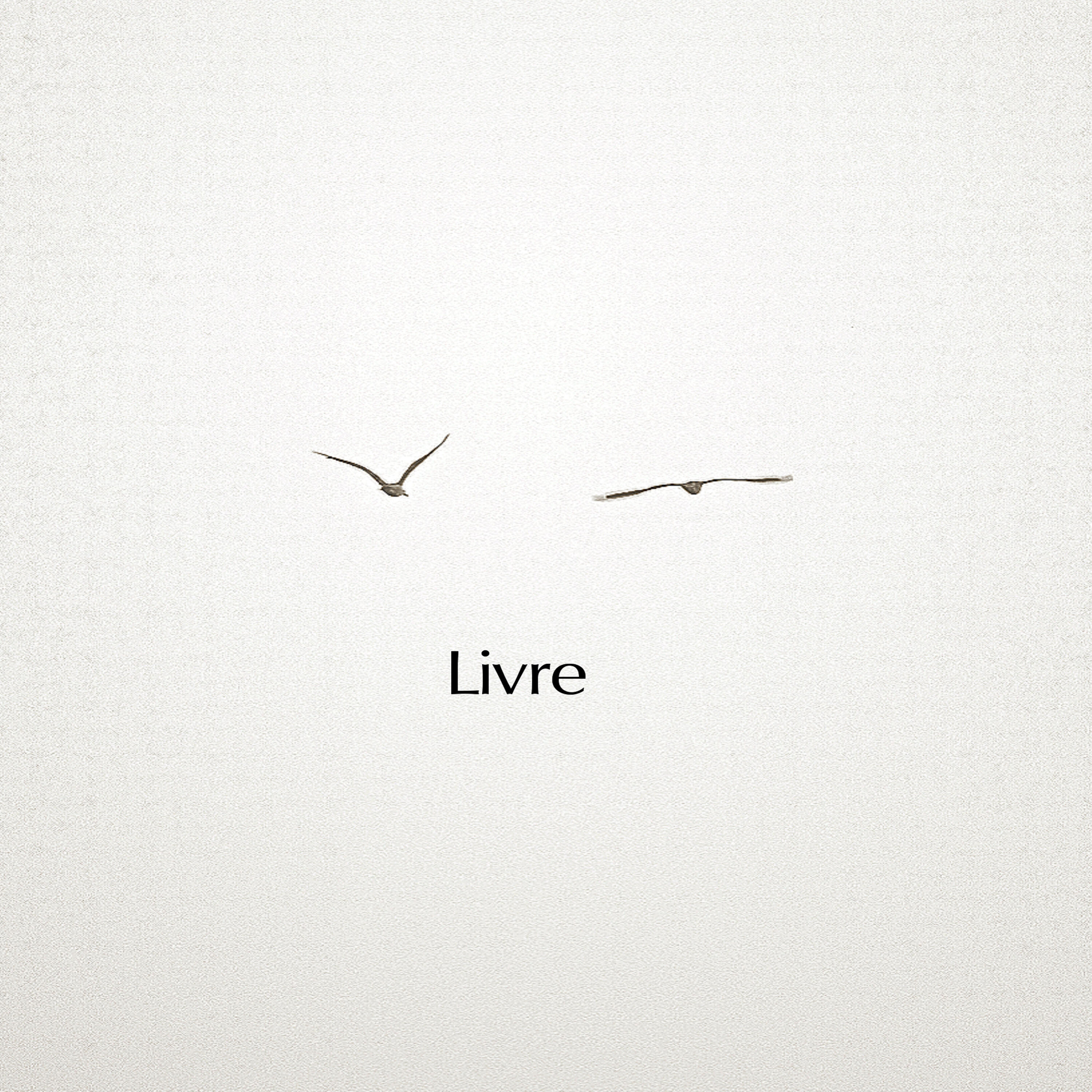 Релиз Livre