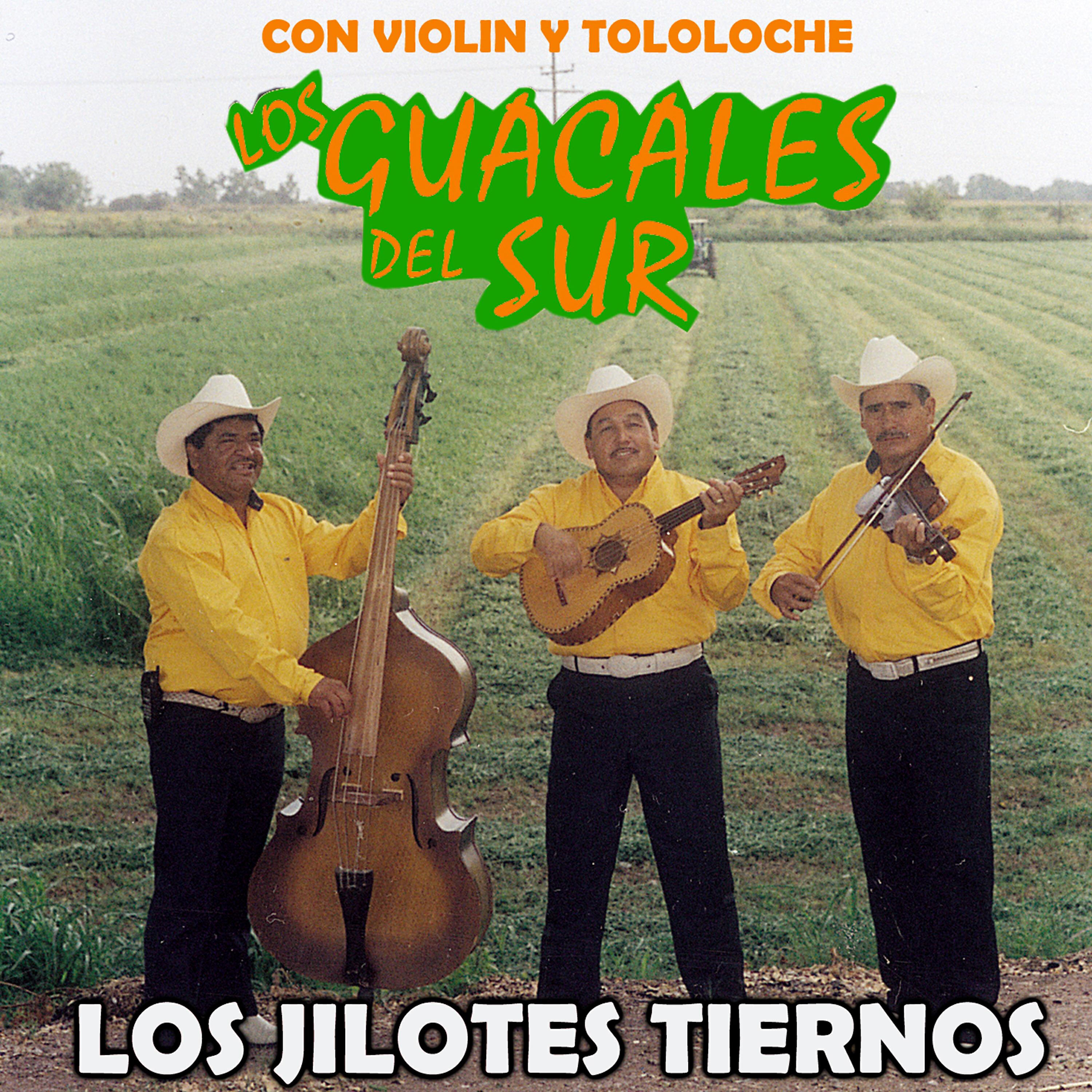 Los Guacales del Sur