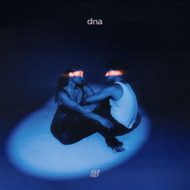 Постер альбома dna (with Jordin Sparks)