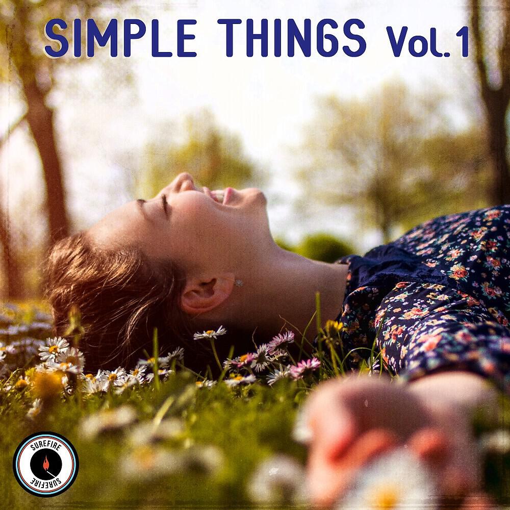 Релиз Simple Things, Vol. 1