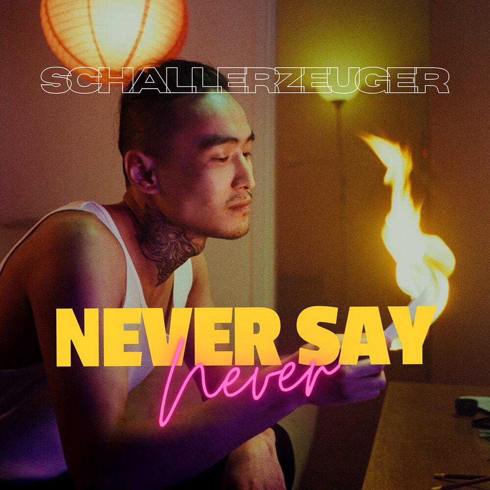 Релиз Never Say Never