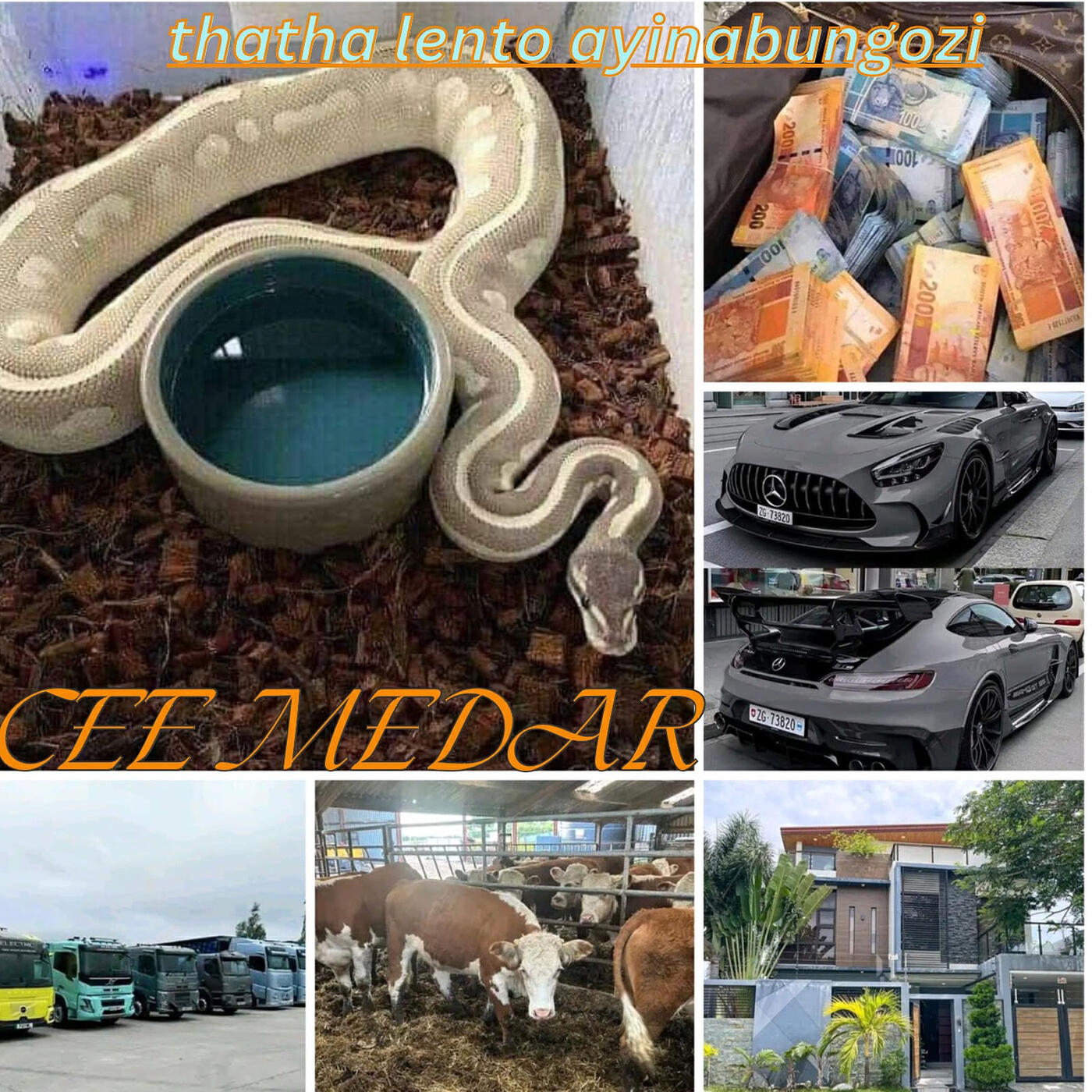 Релиз Thatha Lento Ayinabungozi