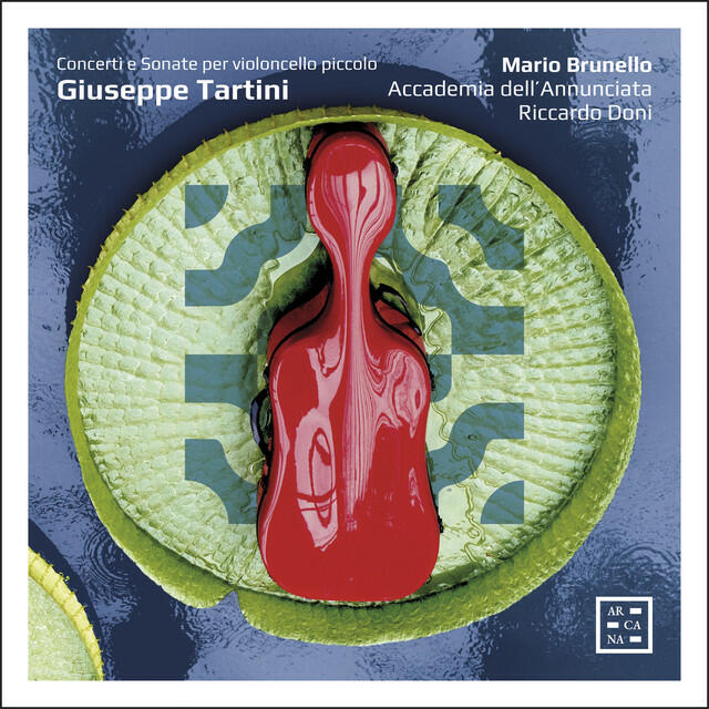 Постер альбома Giuseppe Tartini: Concerti e Sonate per violoncello piccolo