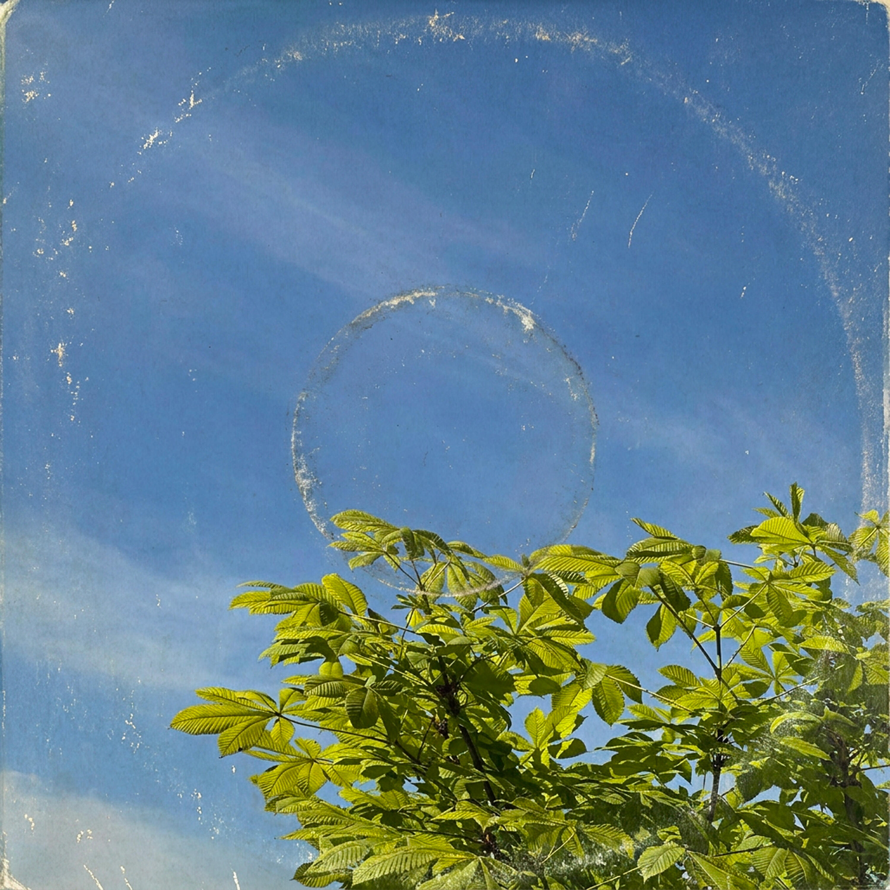 Dmitry Kapety