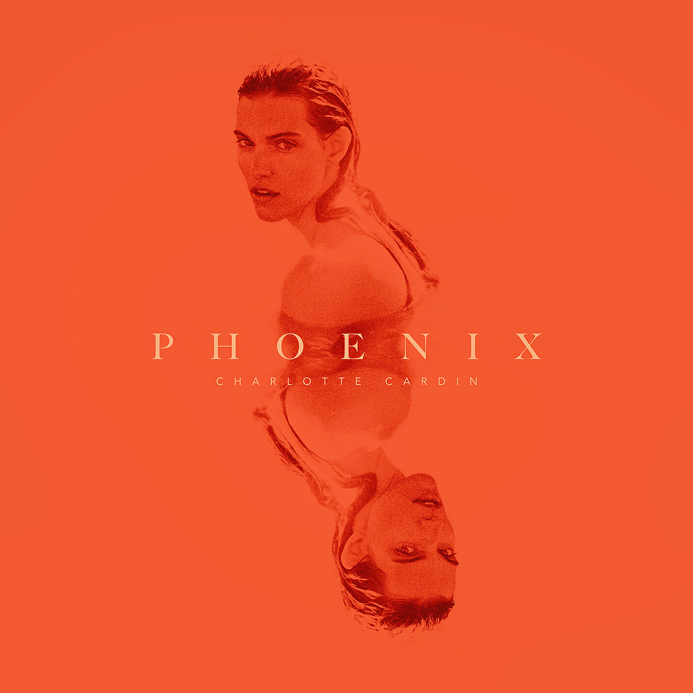 Постер альбома Phoenix