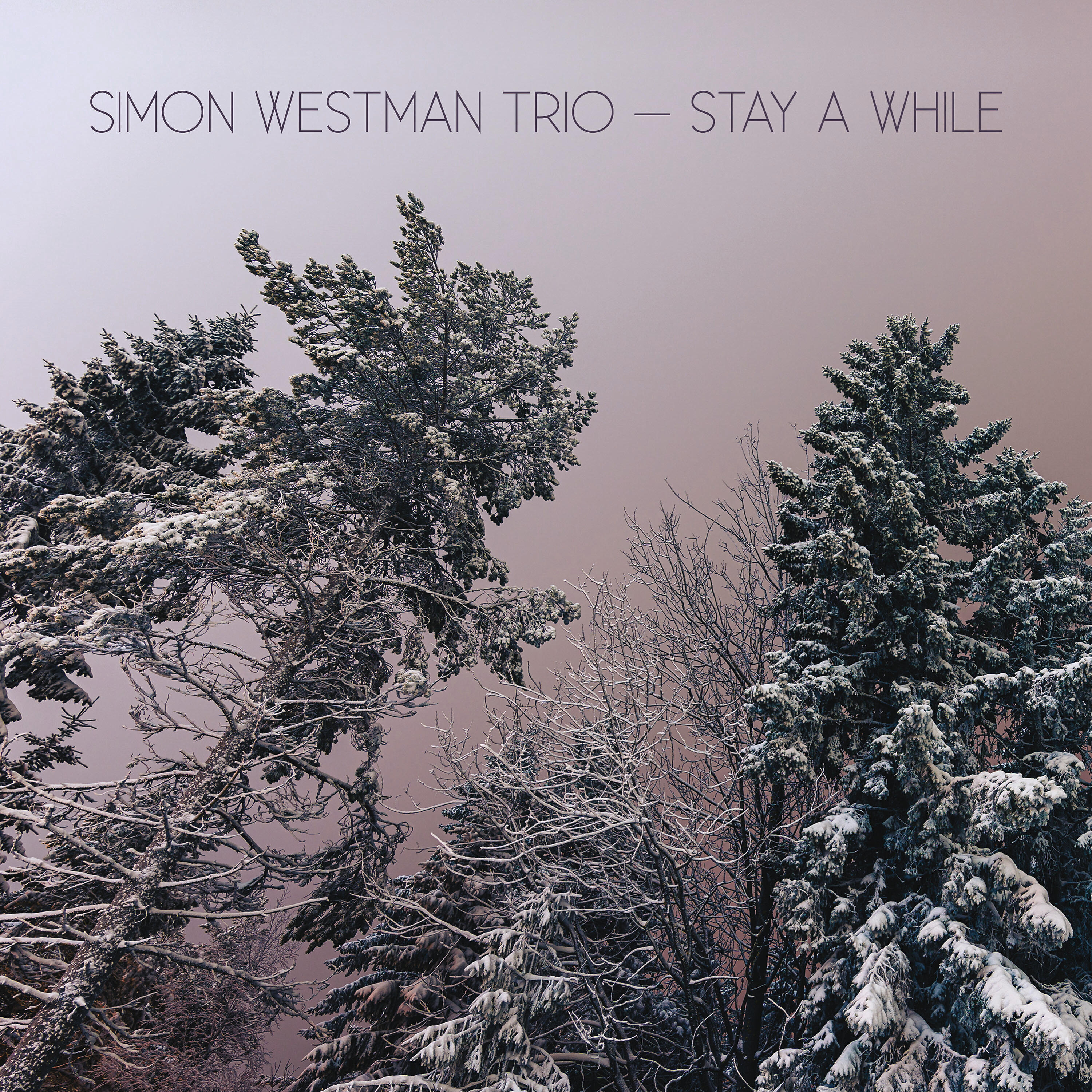 Релиз Stay a While