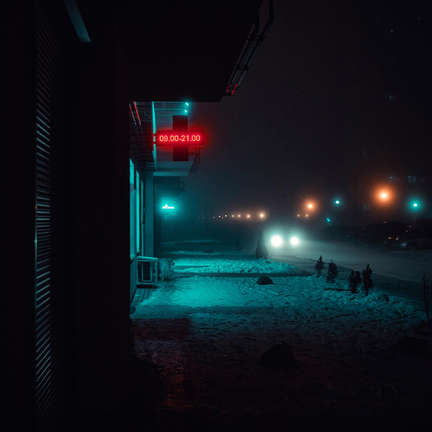 Релиз Lights in the Cold