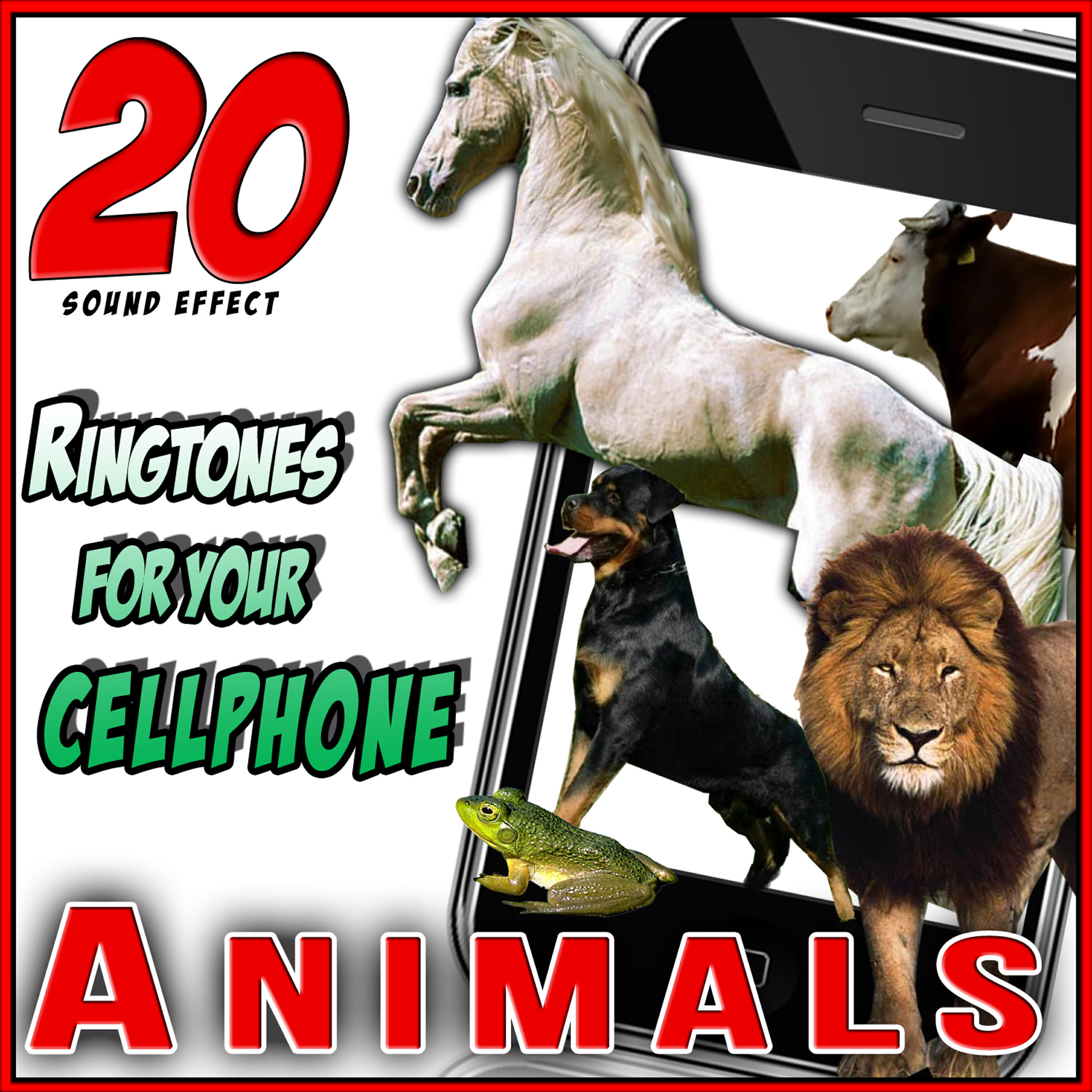 Релиз Animals. 20 Sound Effects. Ringtones for Your Cellphone