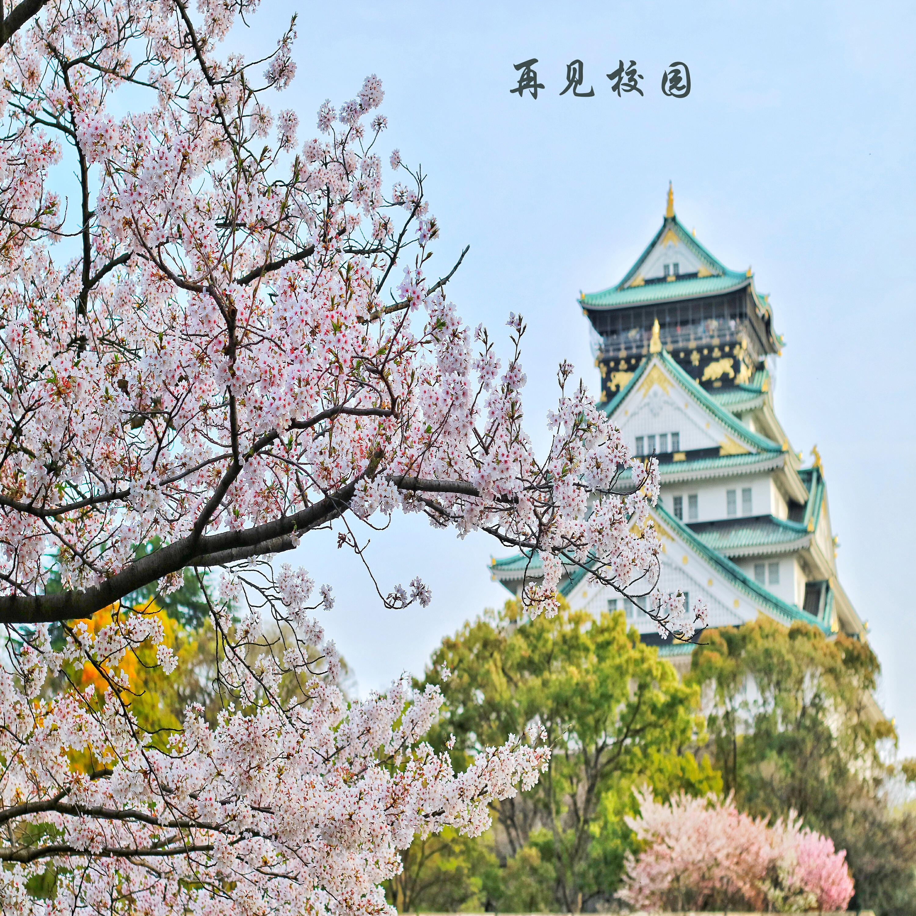 Релиз 再见校园