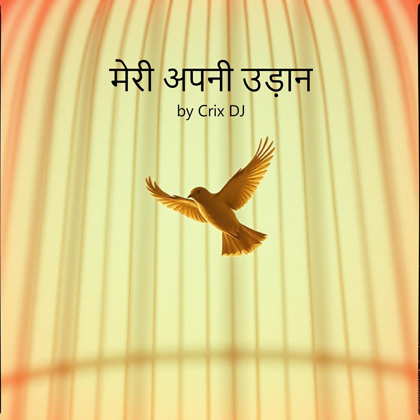 Релиз मेरी अपनी उड़ान