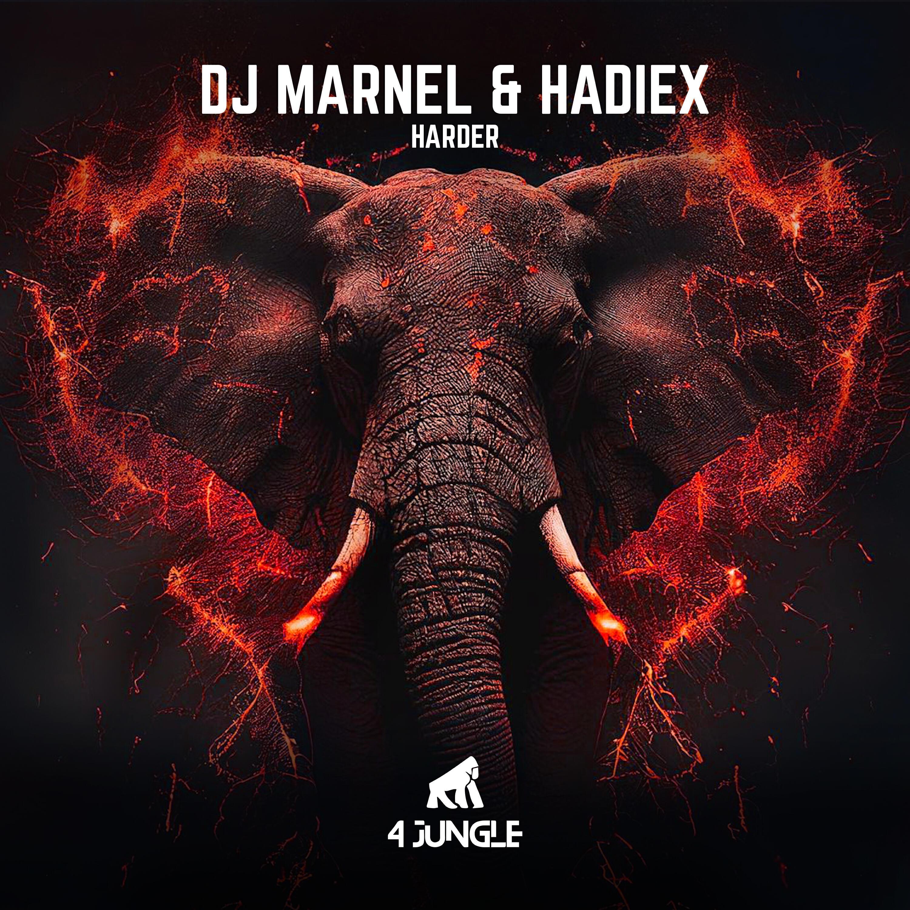DJ Marnel