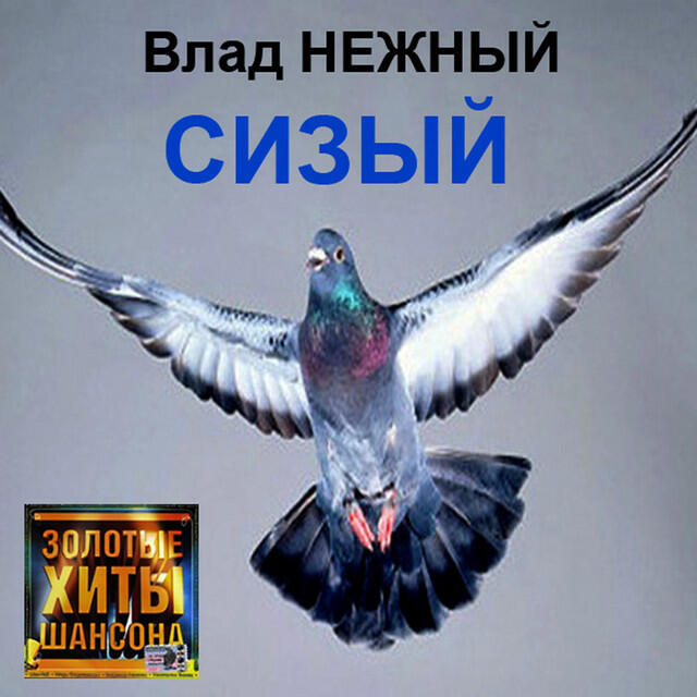 Релиз Сизый. Золотые хиты шансона