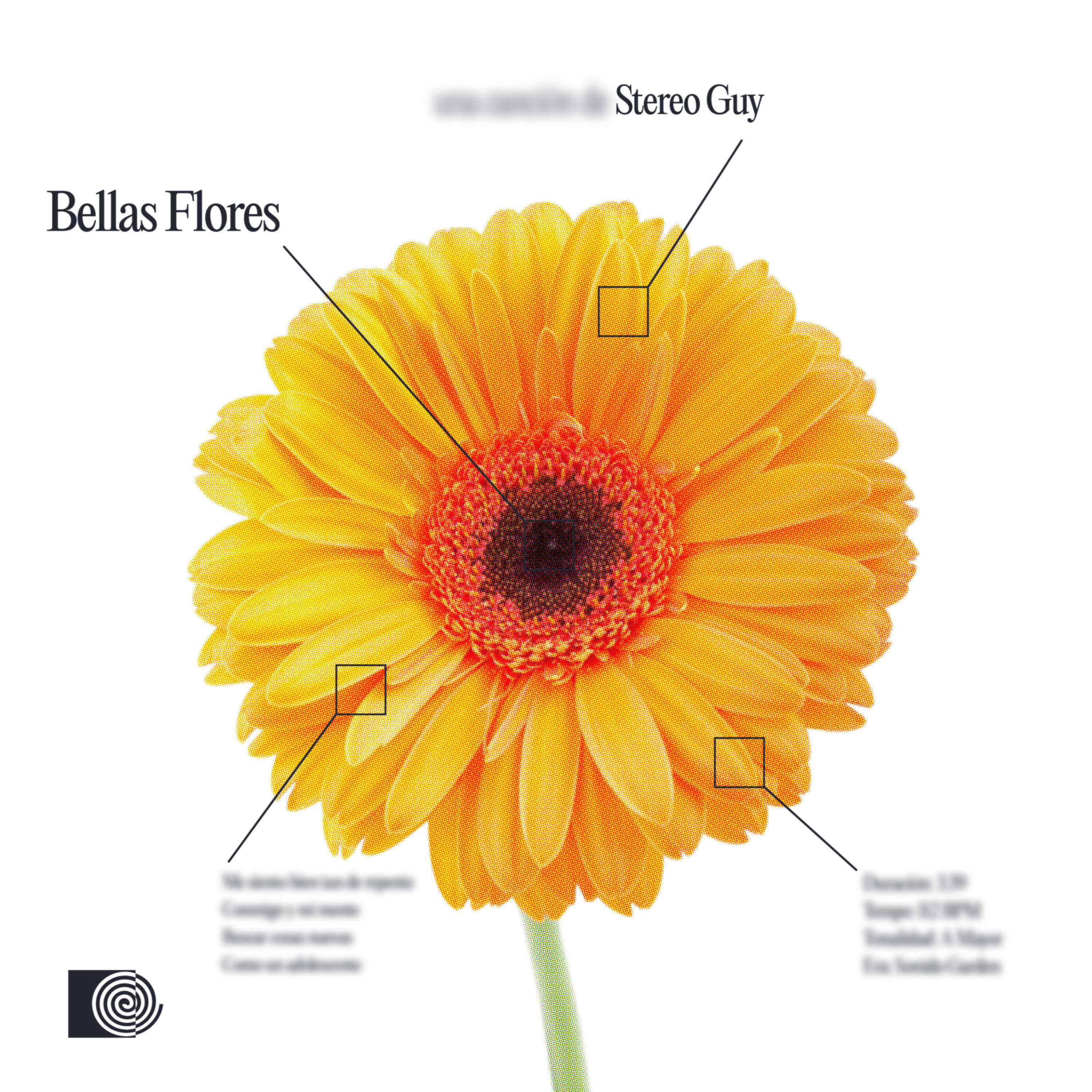 Релиз Bellas Flores
