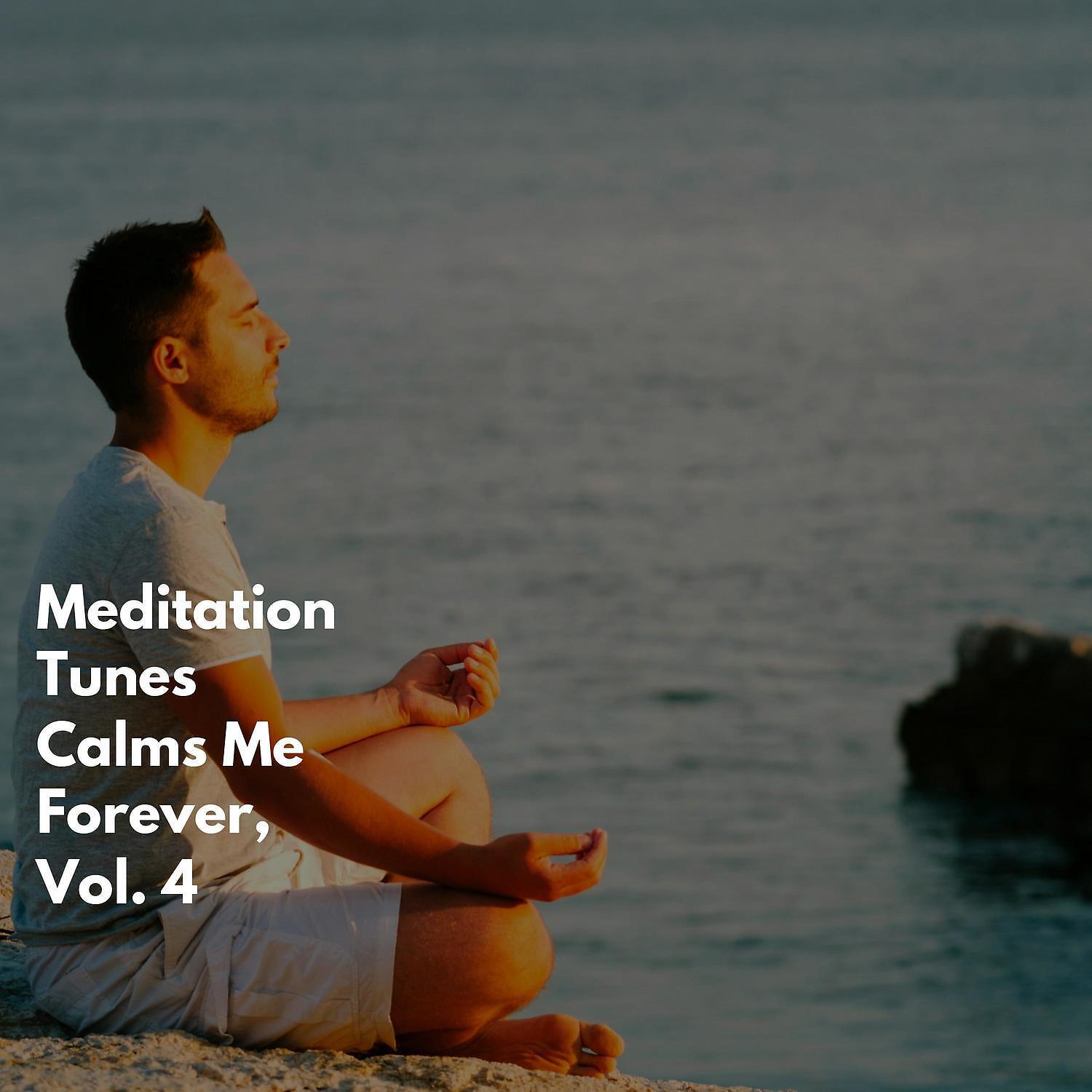 Релиз Meditation Tunes Calms Me Forever, Vol. 4