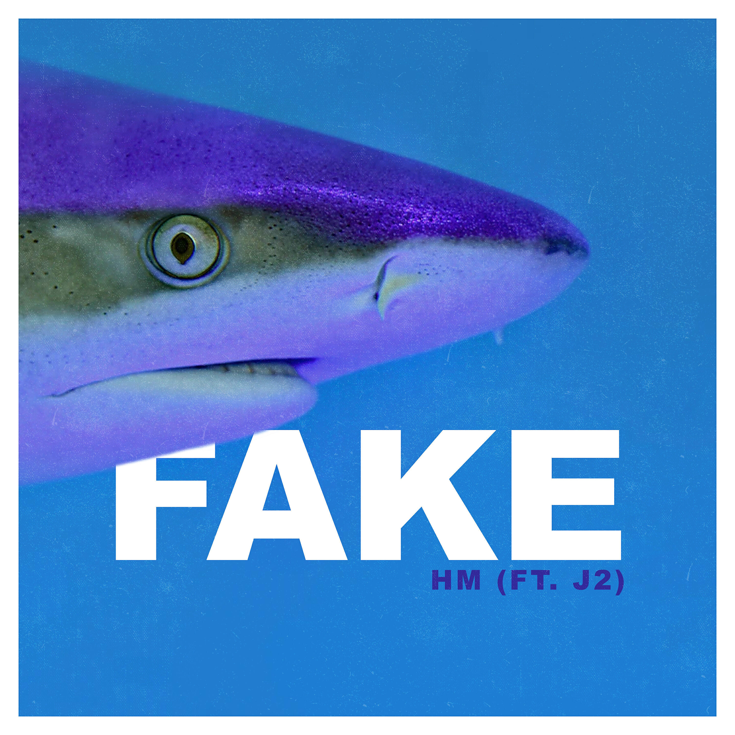 Релиз Fake